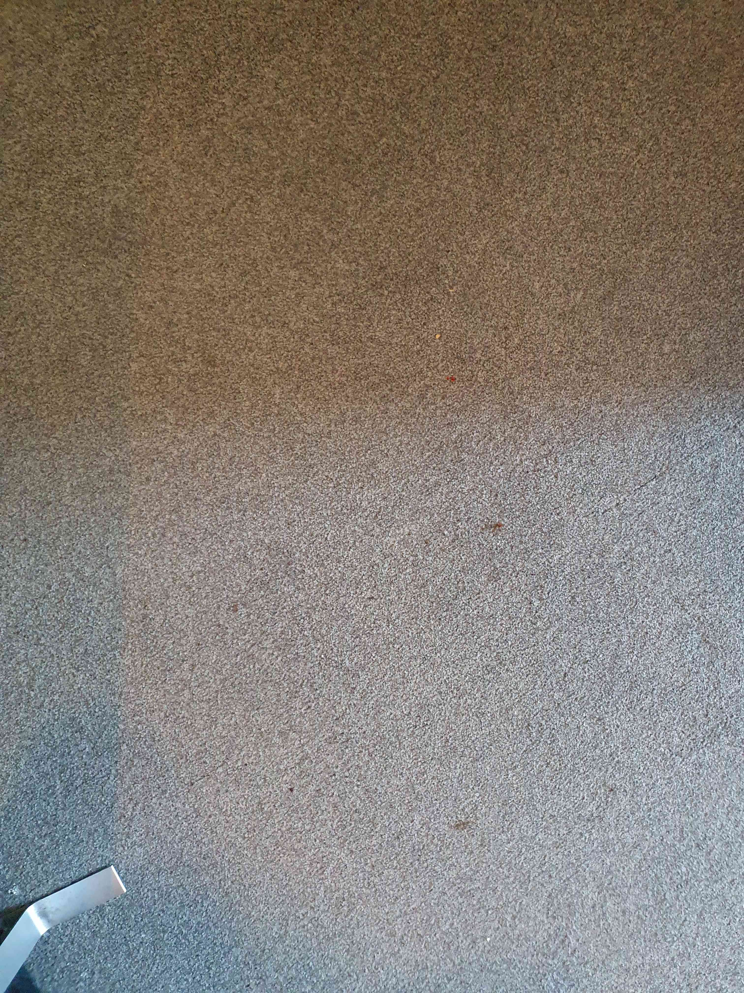 Dijkzichtlaan 215 - Haarlem