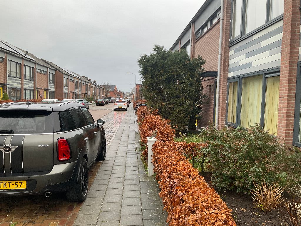 Meeuwstraat 67 - Tiel