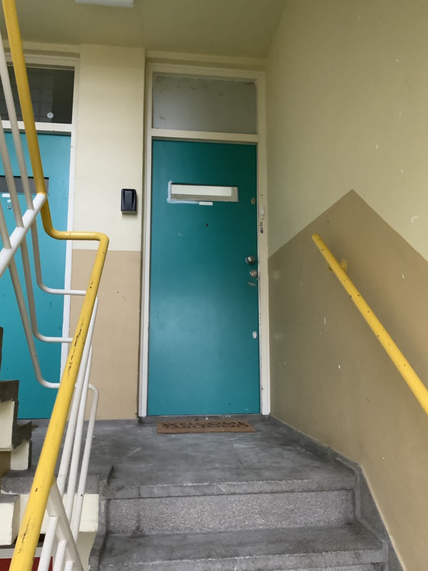 Strauszstraat 53 - Heemskerk