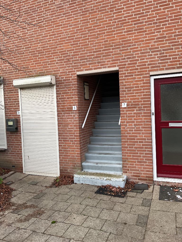 Vijfmolens 5 - Kedichem