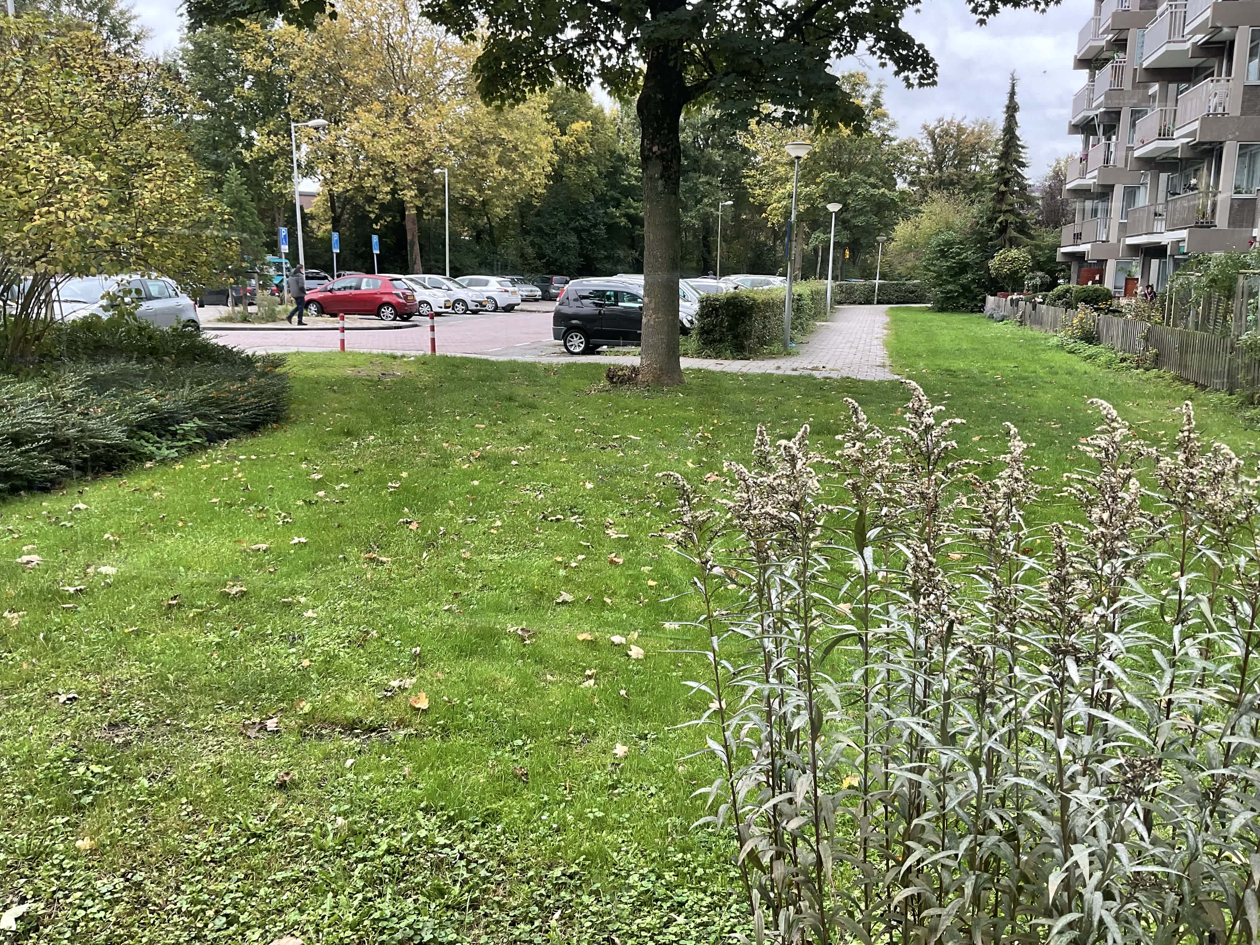 Niftrikhof 412 - Amsterdam