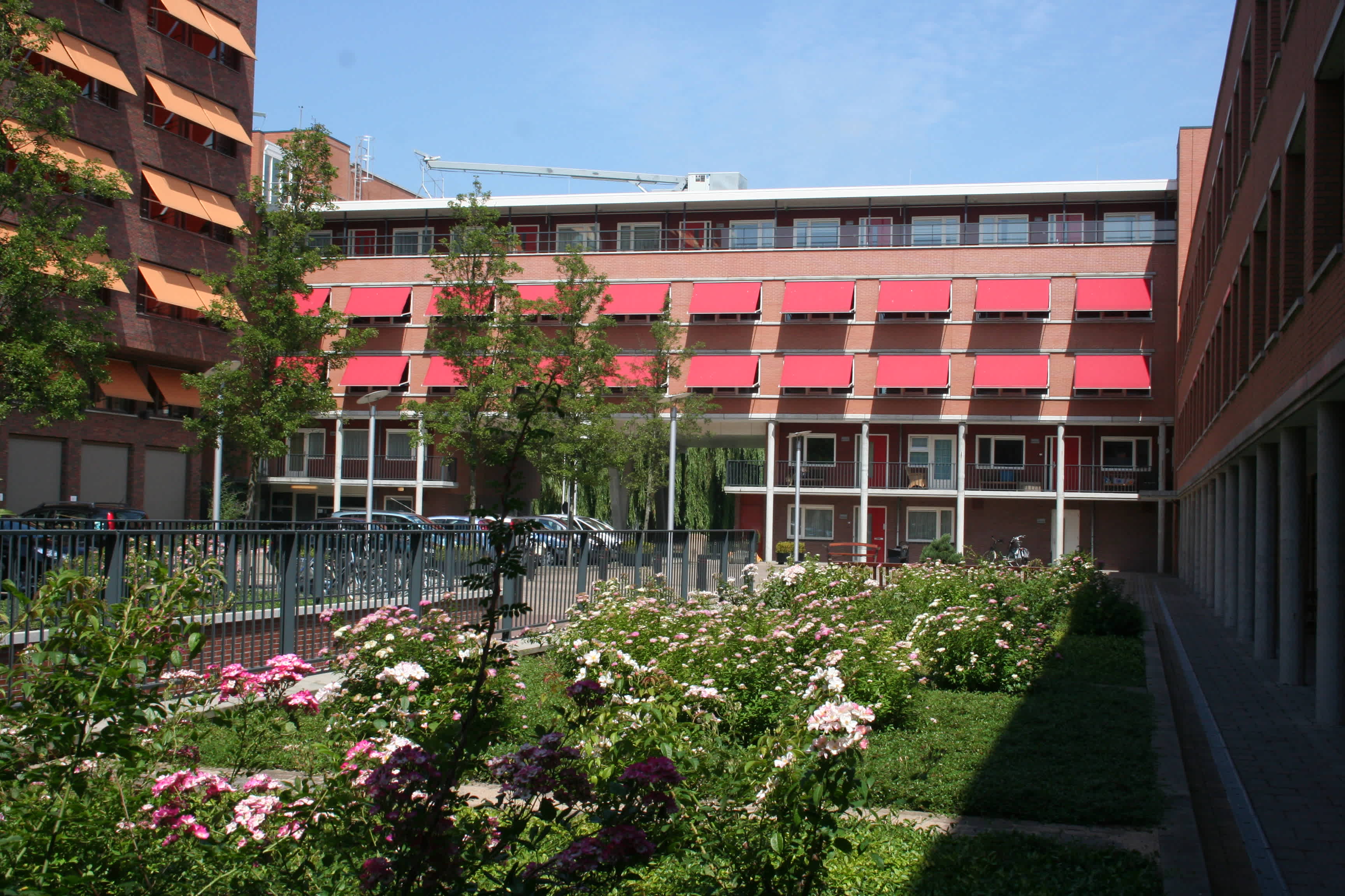 Savelberghof 53 - Gouda