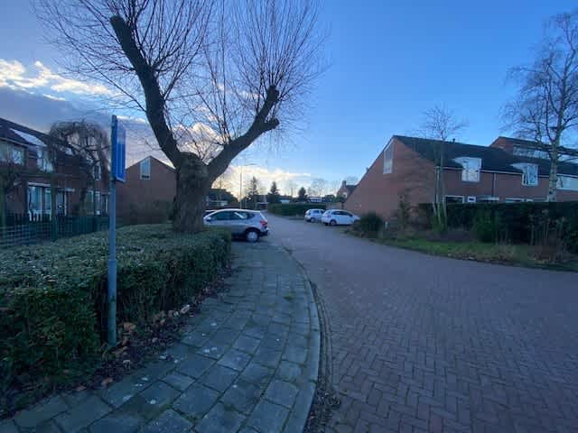 Wilgenlaan 15 - Sauwerd