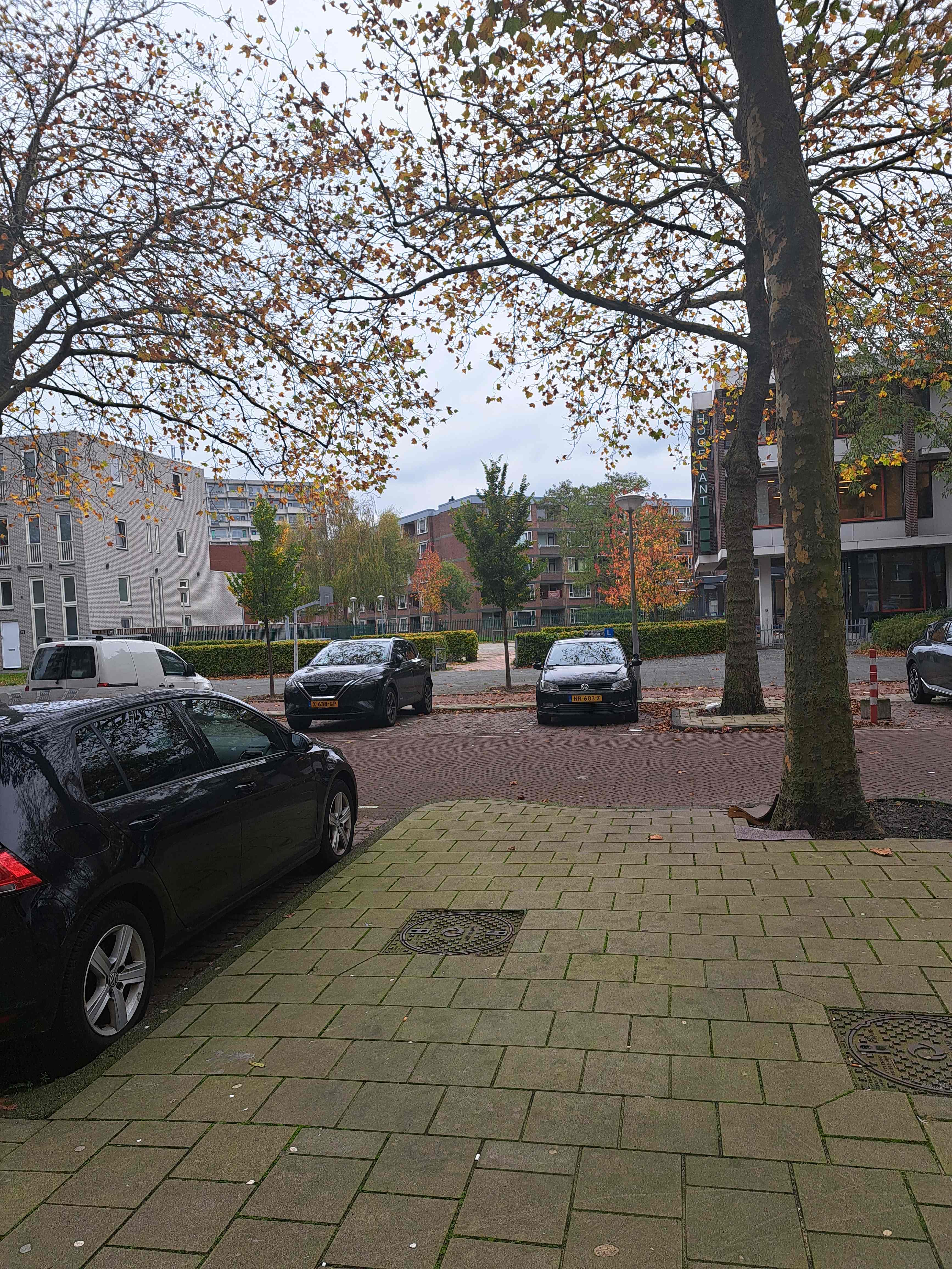 Duinluststraat 151 - Amsterdam