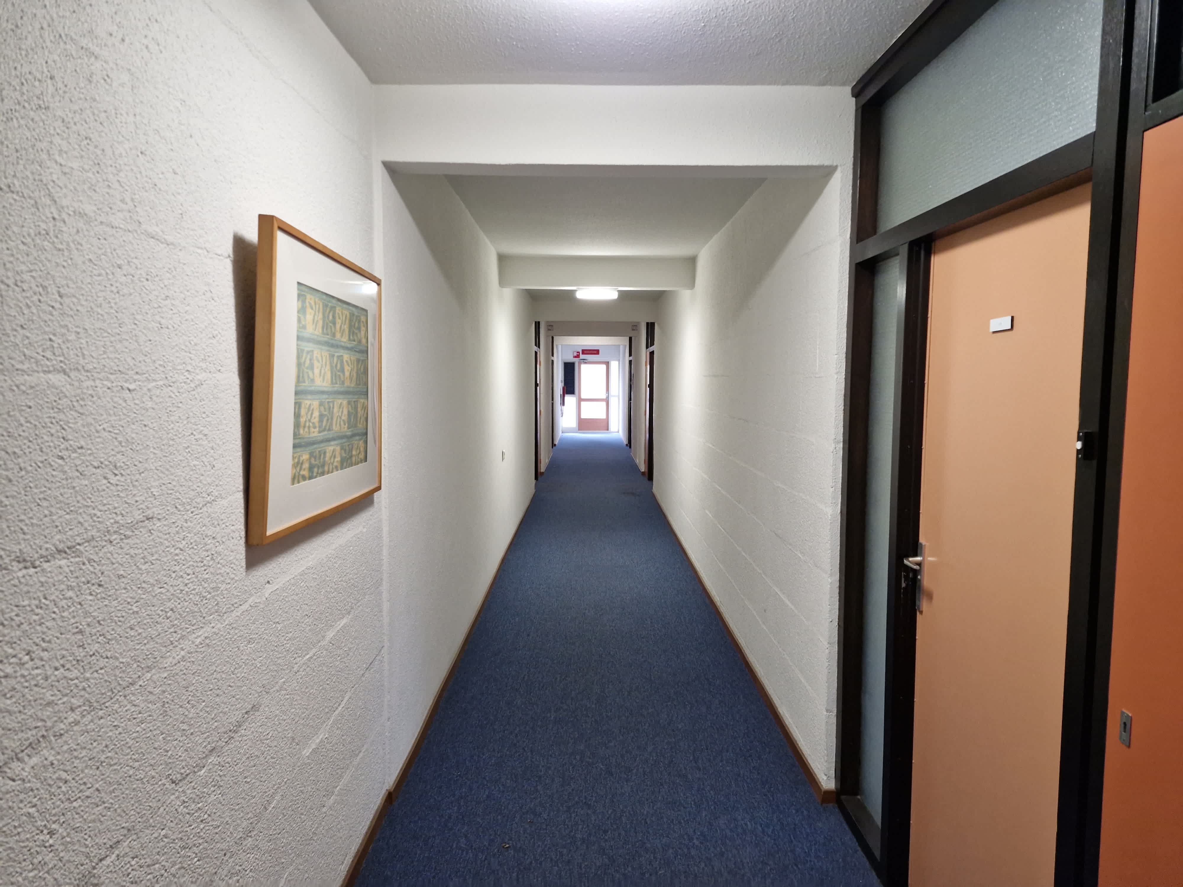 Bolestein 24B - Amsterdam