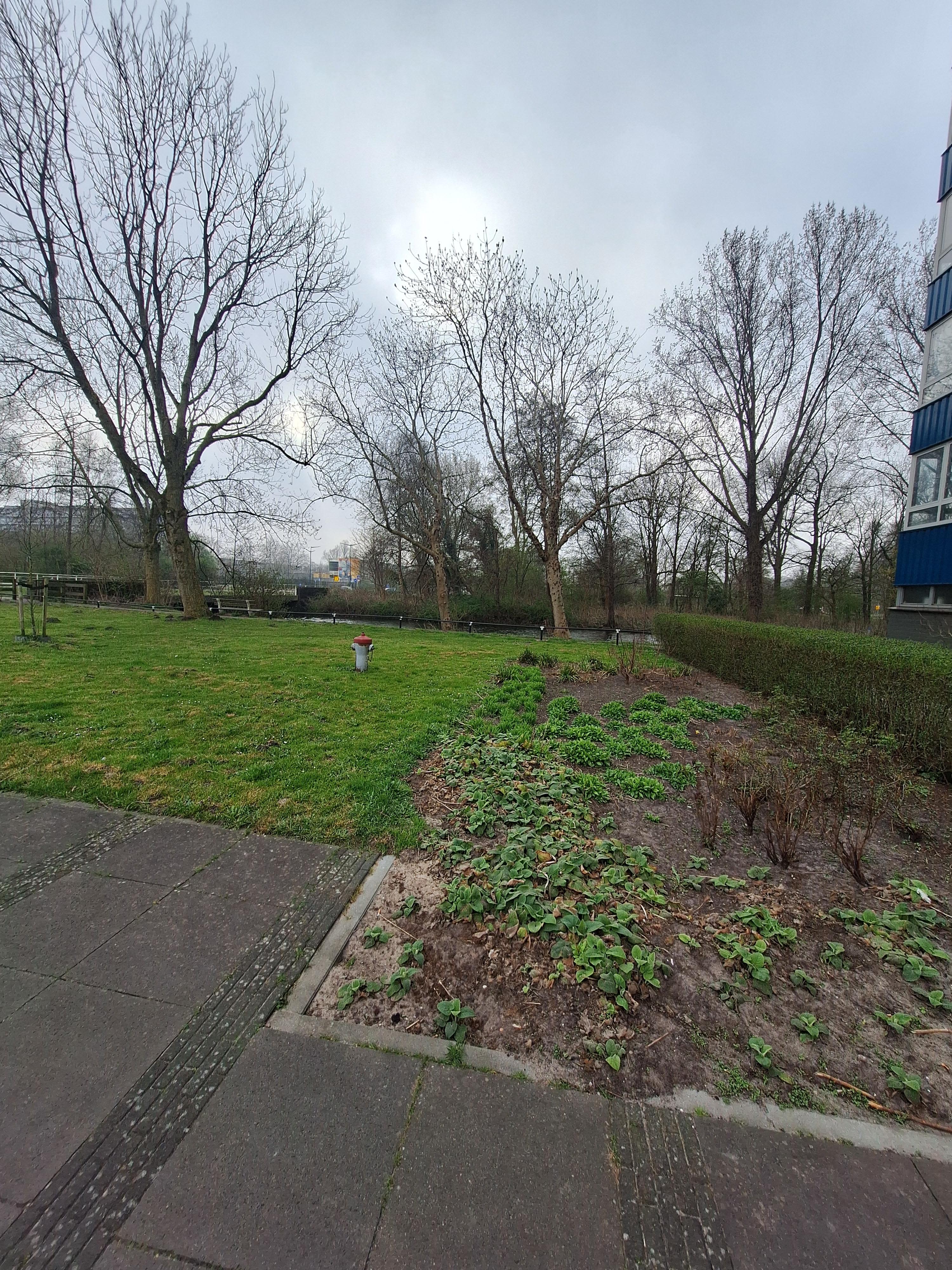 Engelandlaan 1404 - Haarlem