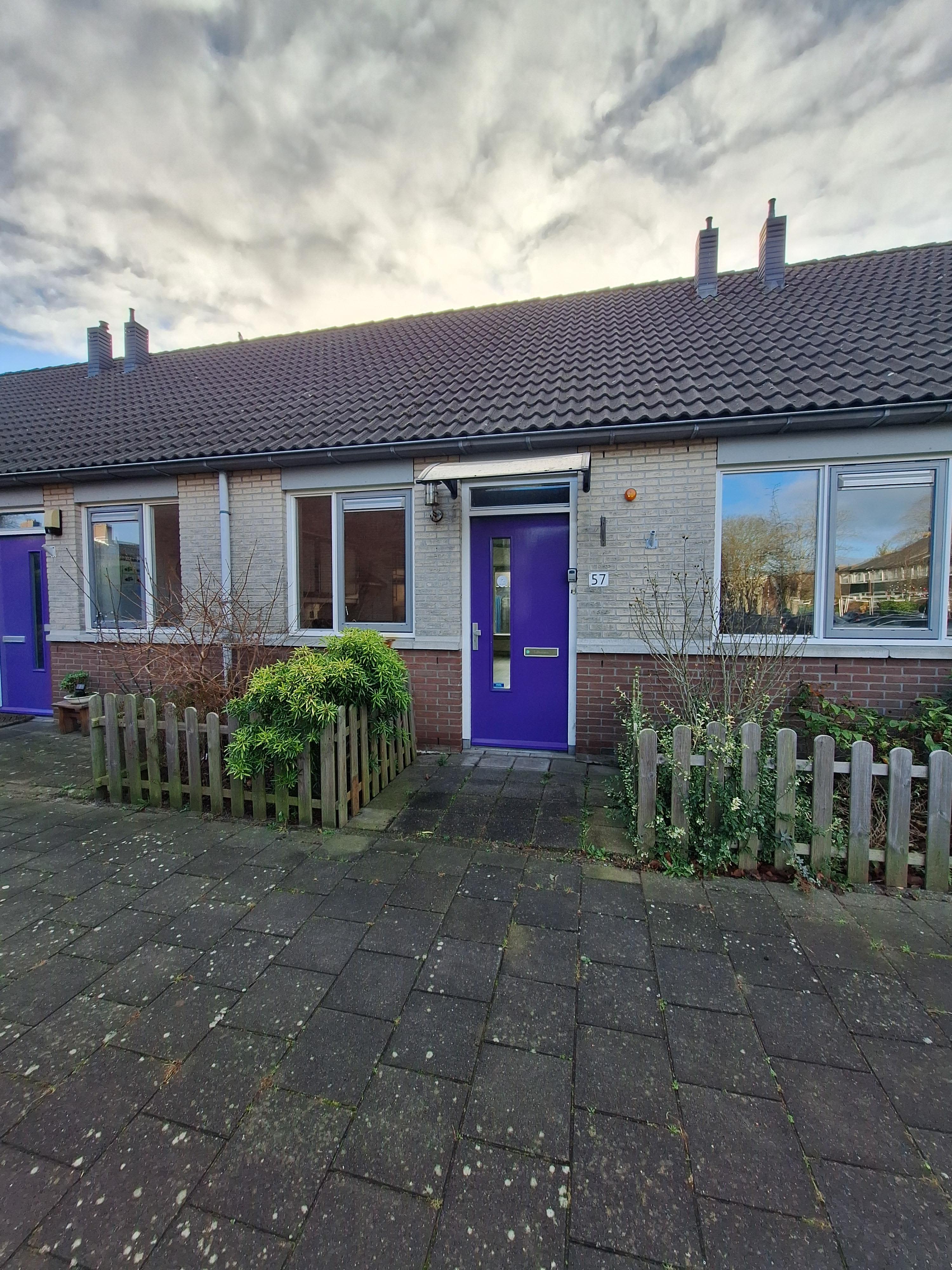 Professor Pelstraat 57 - Haarlem