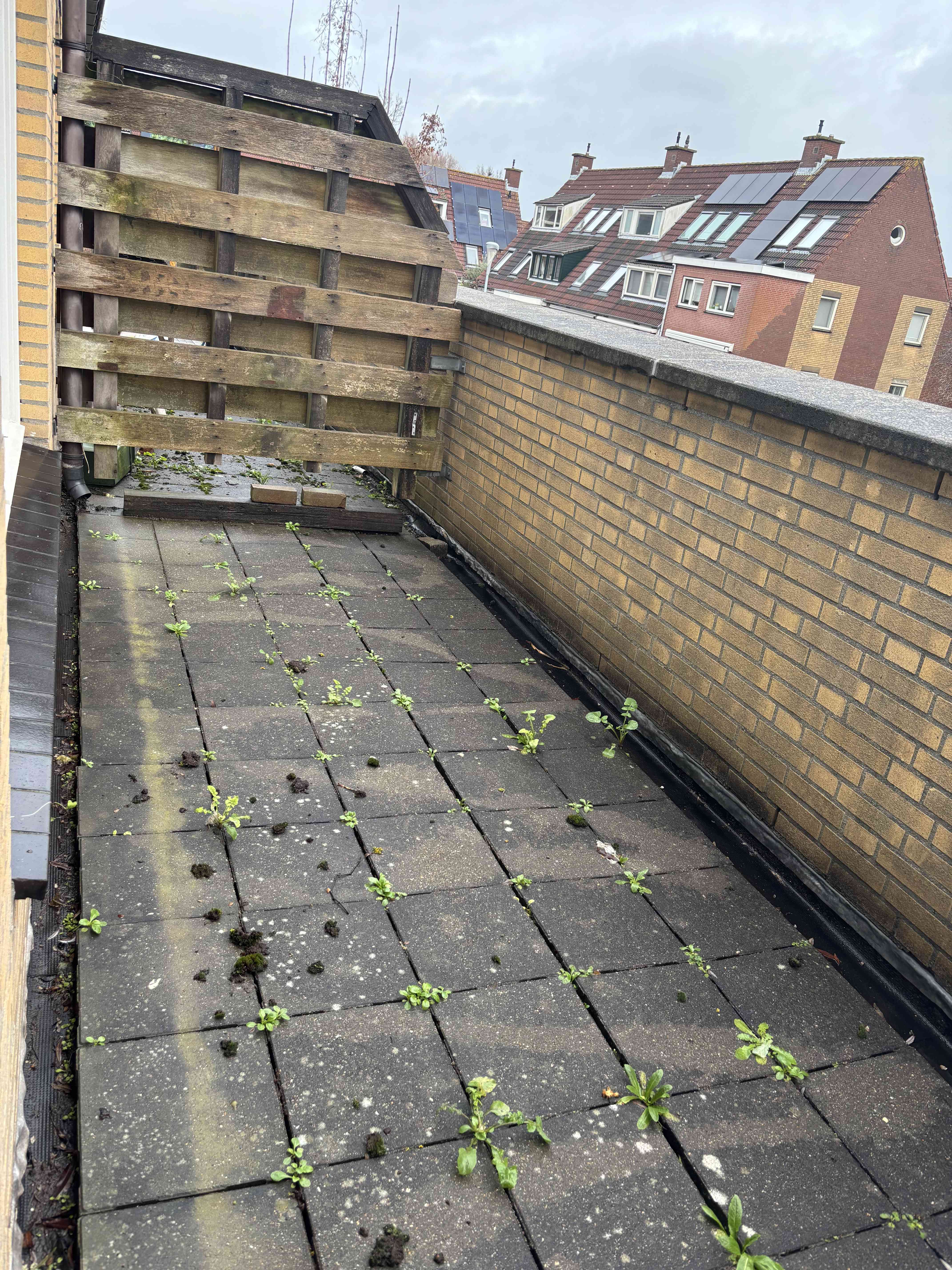 Willemsbos 114 - Hoofddorp