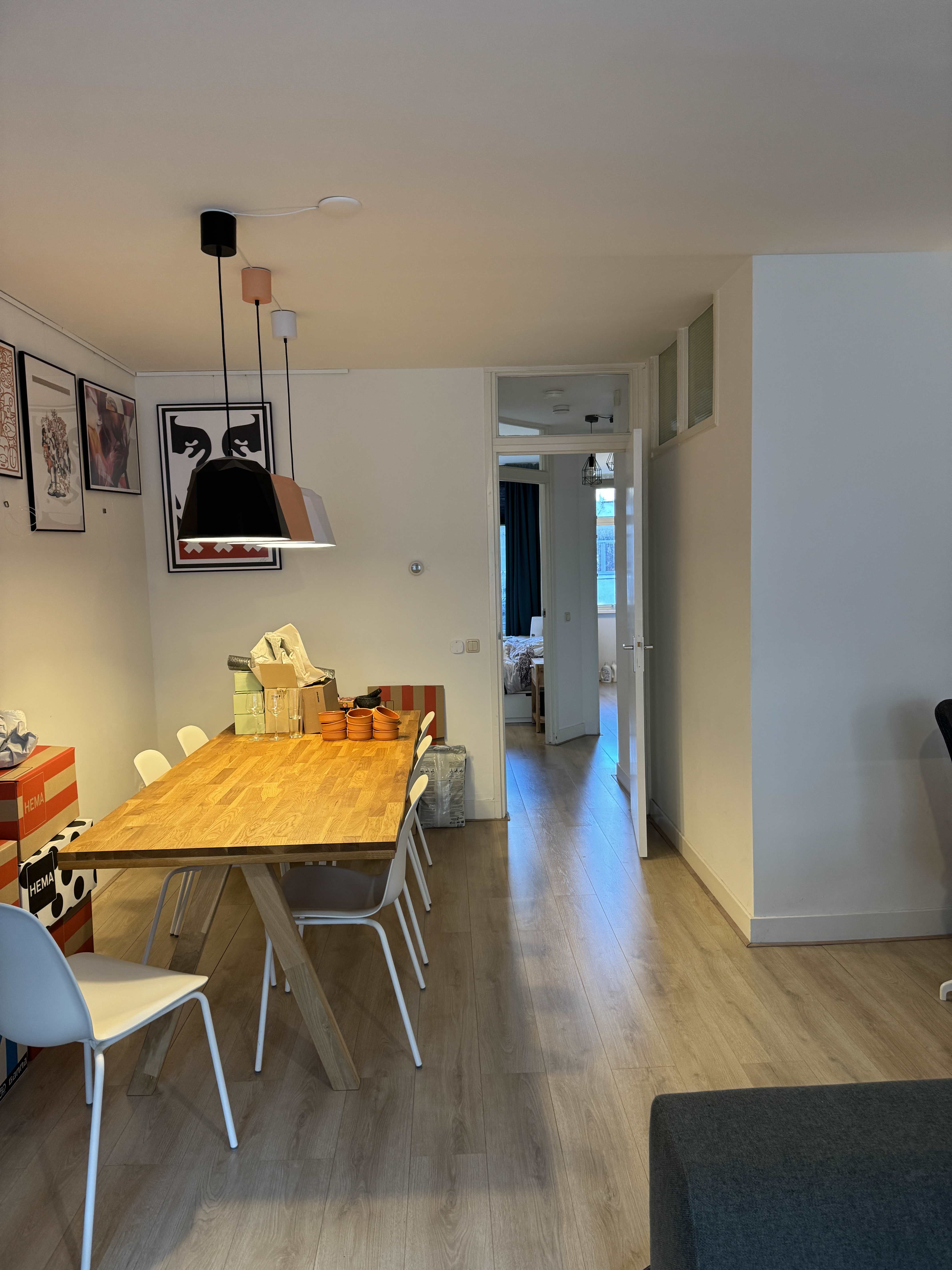 Eerste Jan Steenstraat 117-2E - Amsterdam