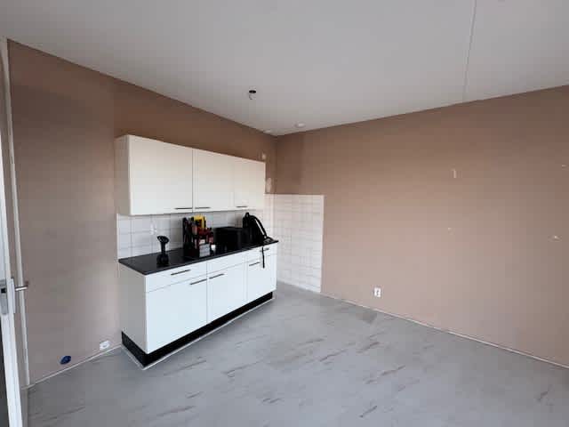 Kamelenspoor 8311 - Maarssen