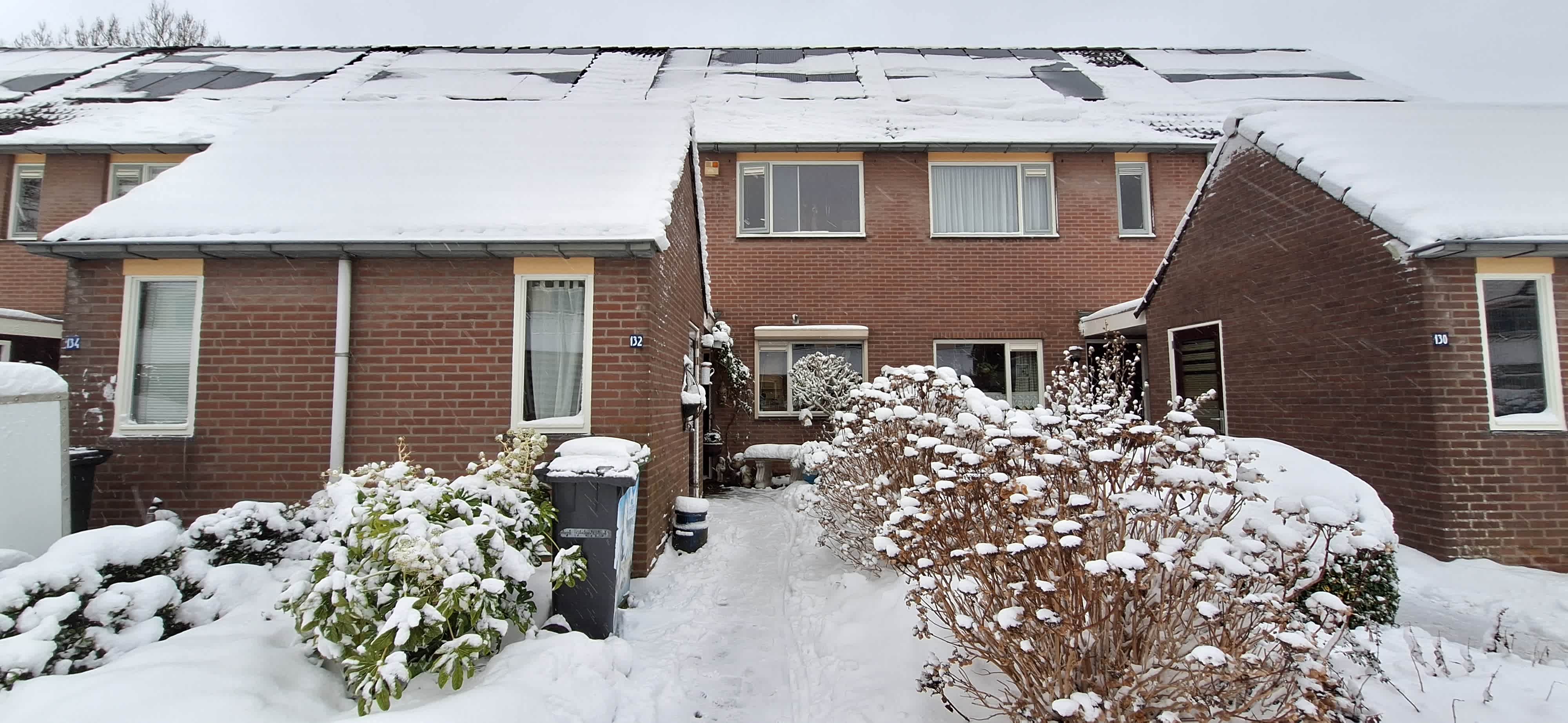 Veertien Hond 132 - Tiel