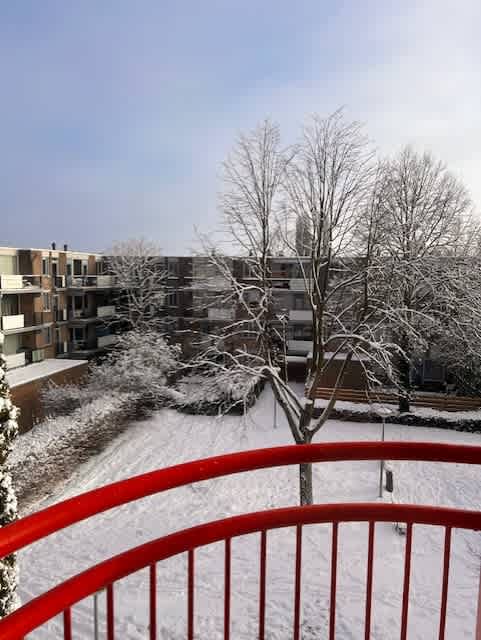 Soestdijkstraat 177 - Amsterdam