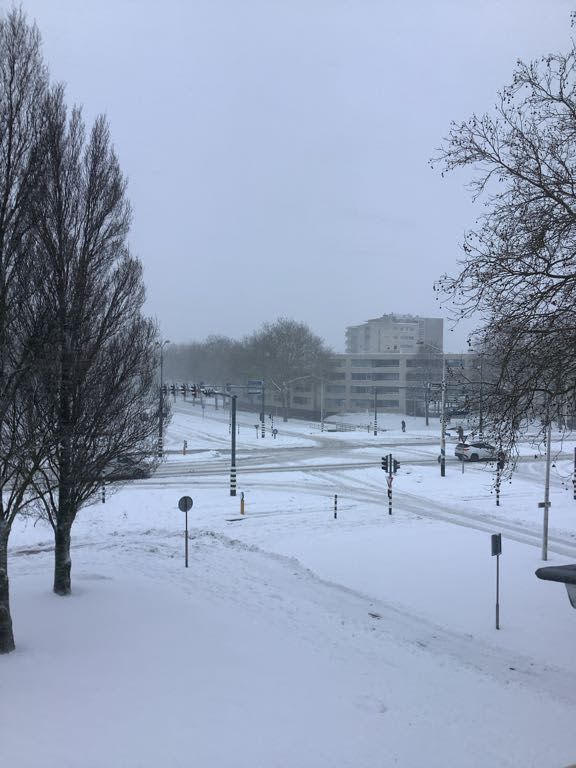 Wilgenhof 128 - Papendrecht