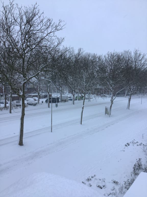 Wilgenhof 128 - Papendrecht