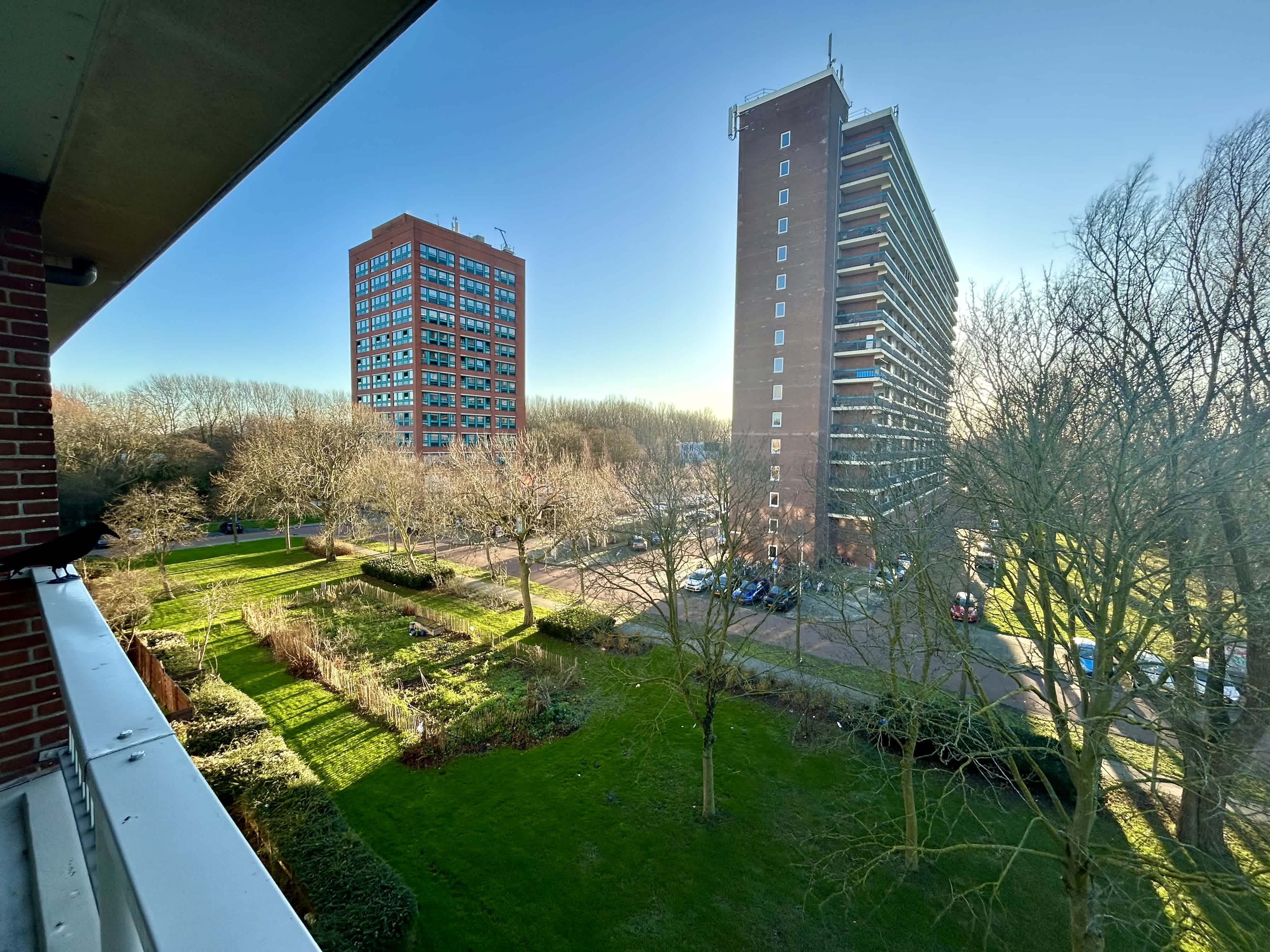 Oosterendstraat 96 - Amsterdam