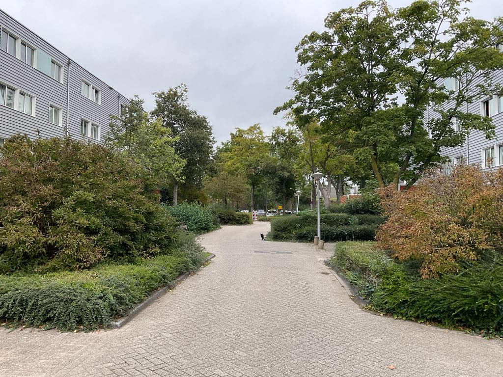 Stenghof 46 - Amsterdam