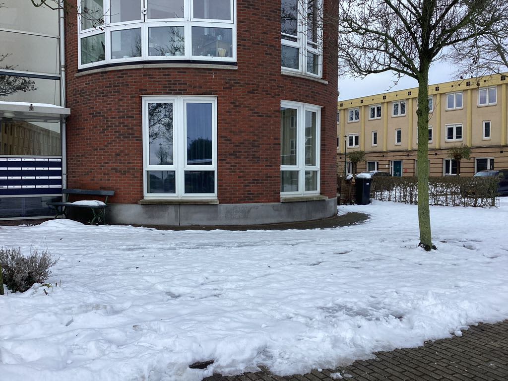 Fluweelmos 168 - Houten