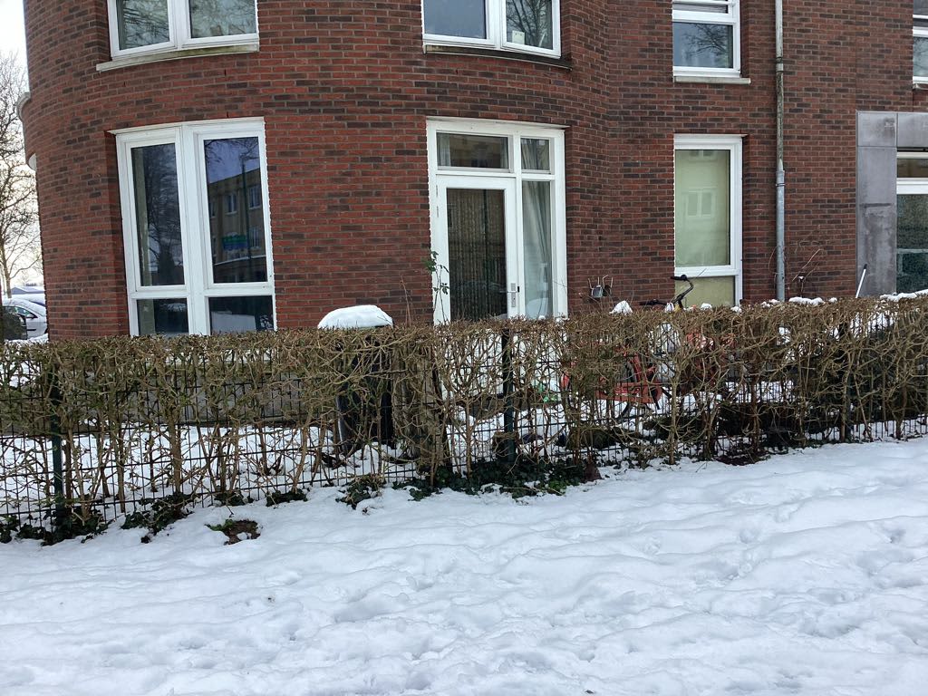 Fluweelmos 168 - Houten