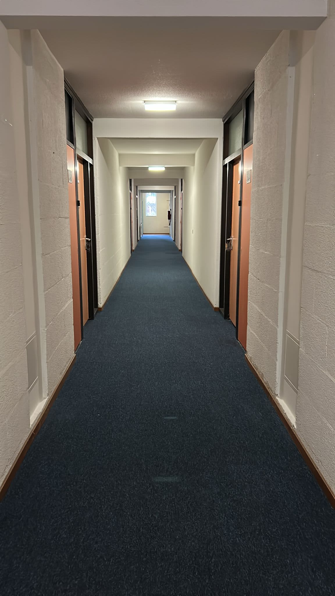 Bolestein 36A - Amsterdam