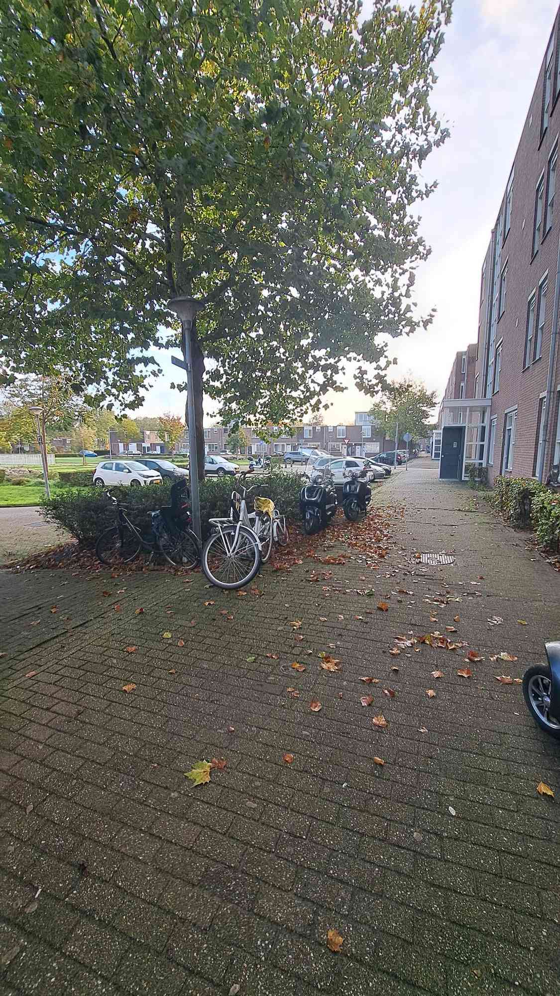 Kimwierde 327 - Almere