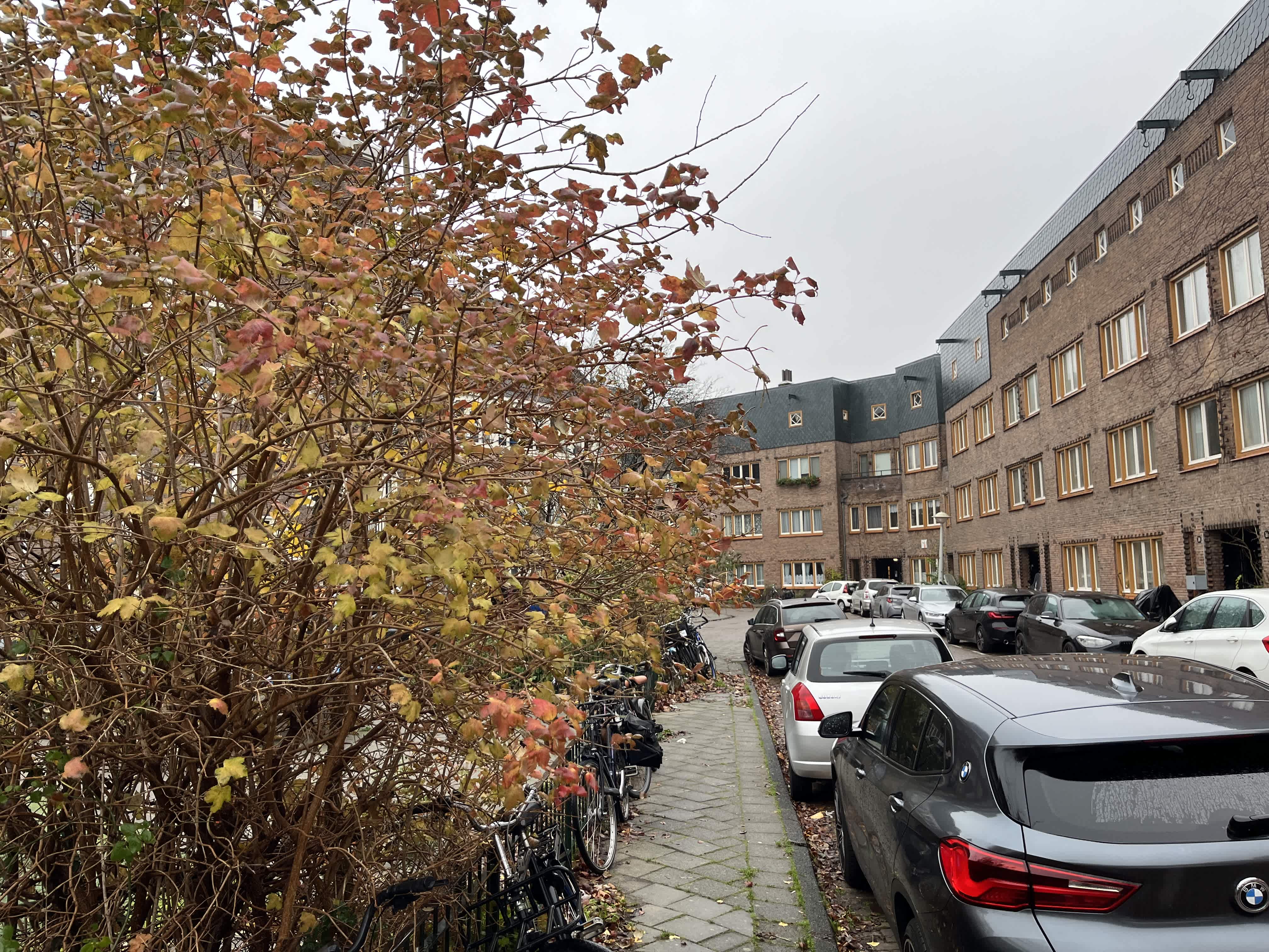 Sportstraat 521 - Amsterdam