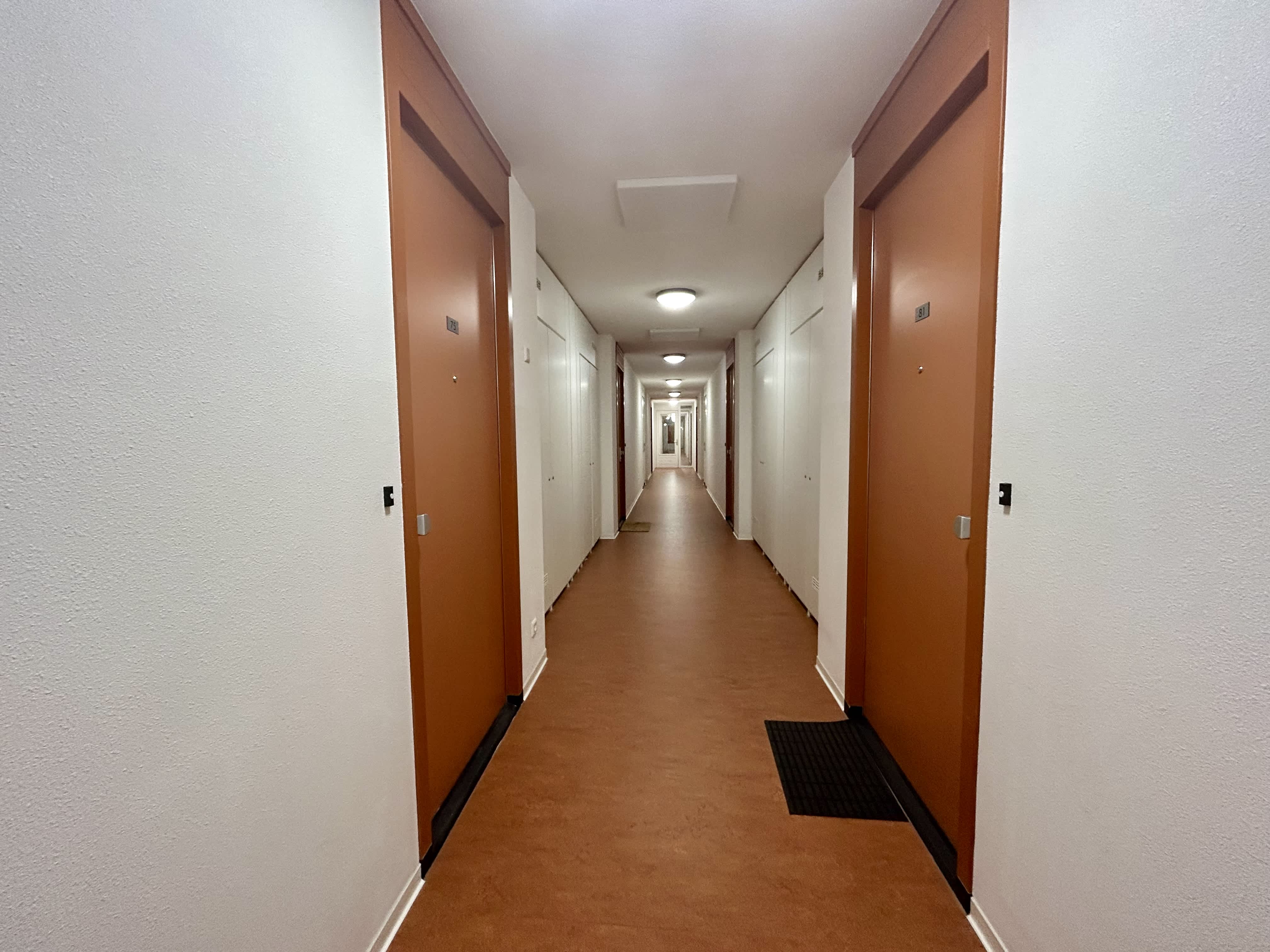 Zilverplevierstraat 75 - Amsterdam