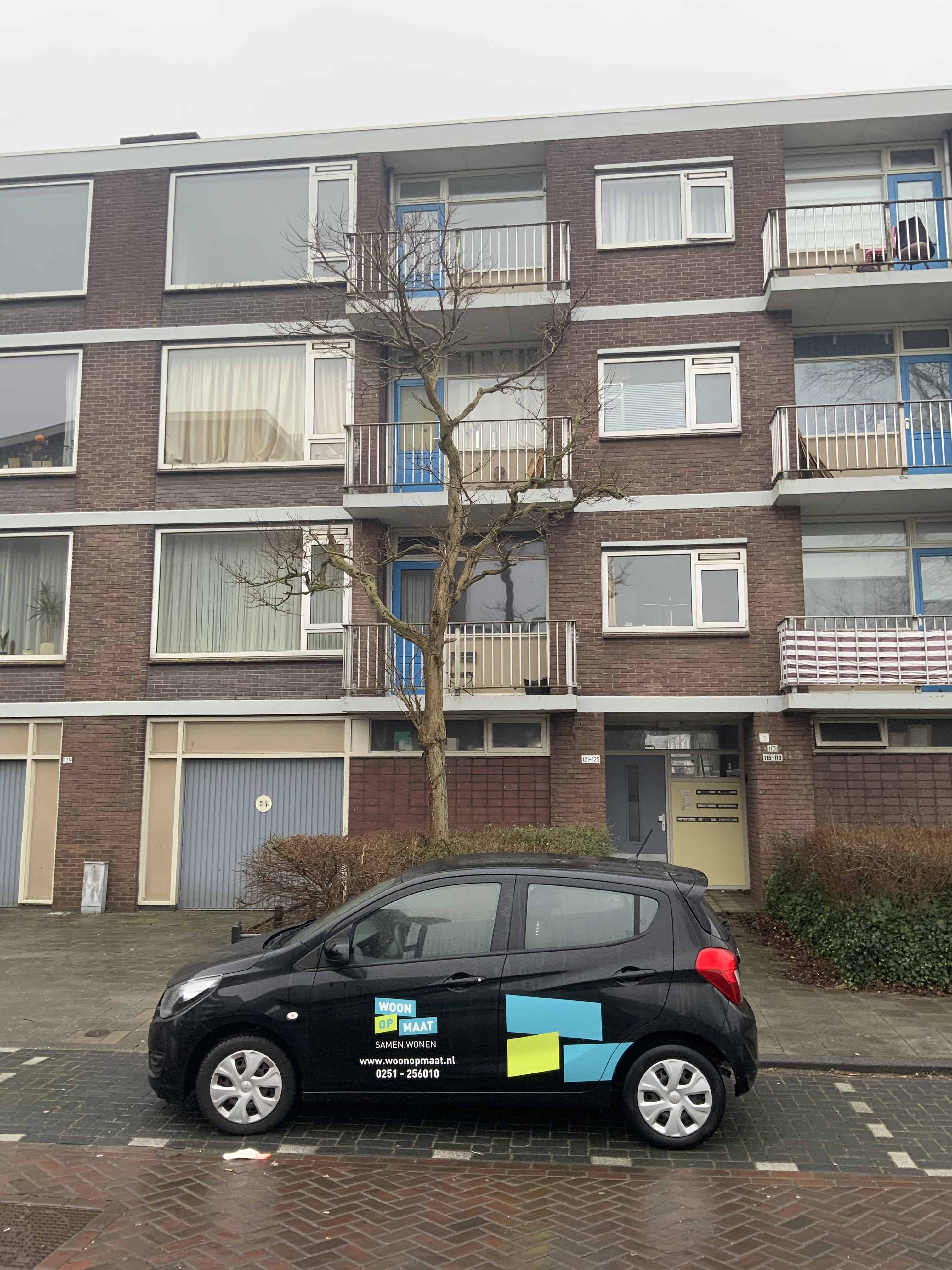 Lessestraat 121 - Heemskerk