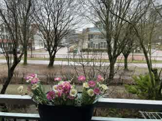 Kortvoort 205 - Amsterdam