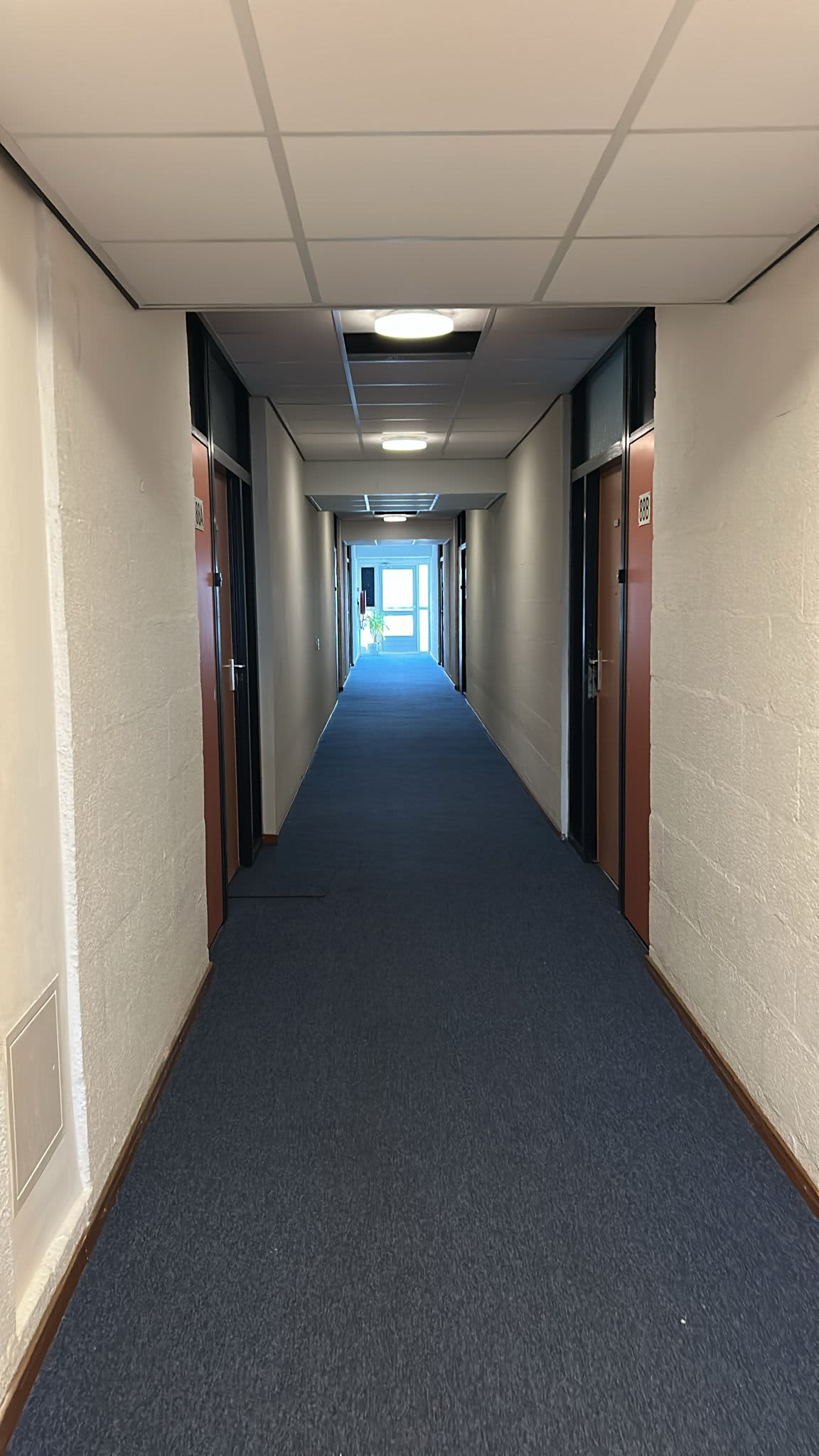 Bolestein 86B - Amsterdam