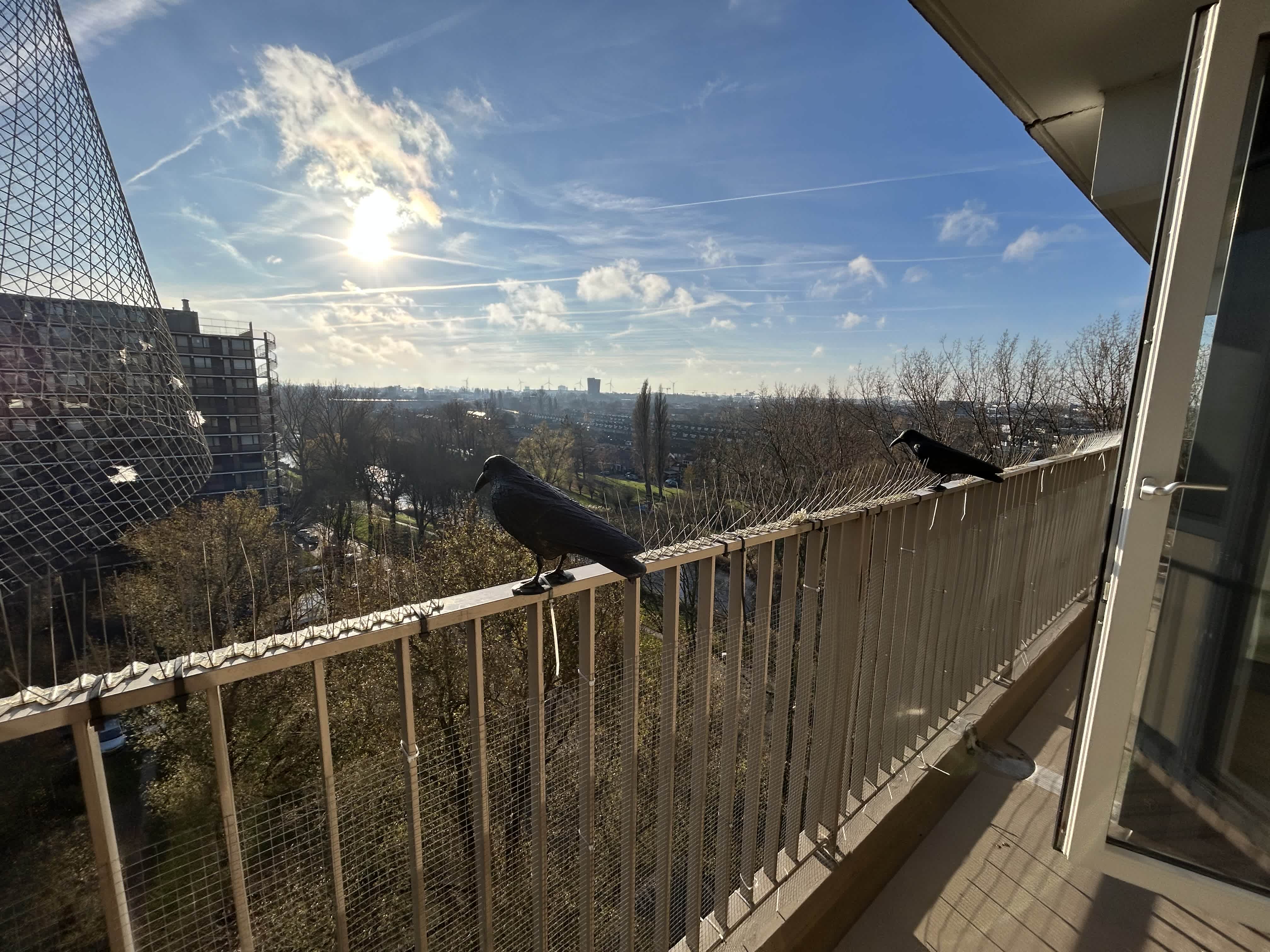 Vermiljoenweg 218 - Zaandam