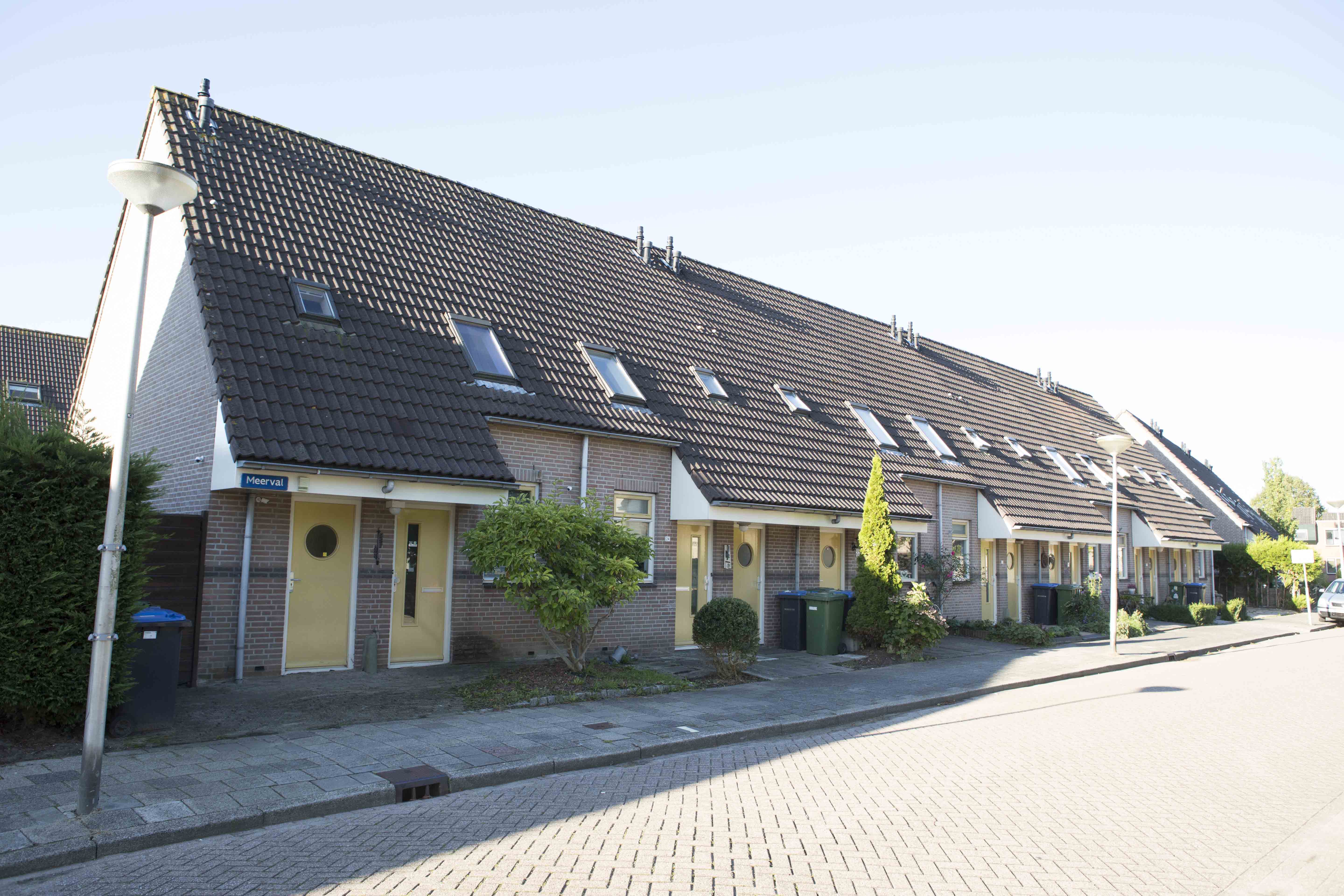 Meerval 18 - Bodegraven