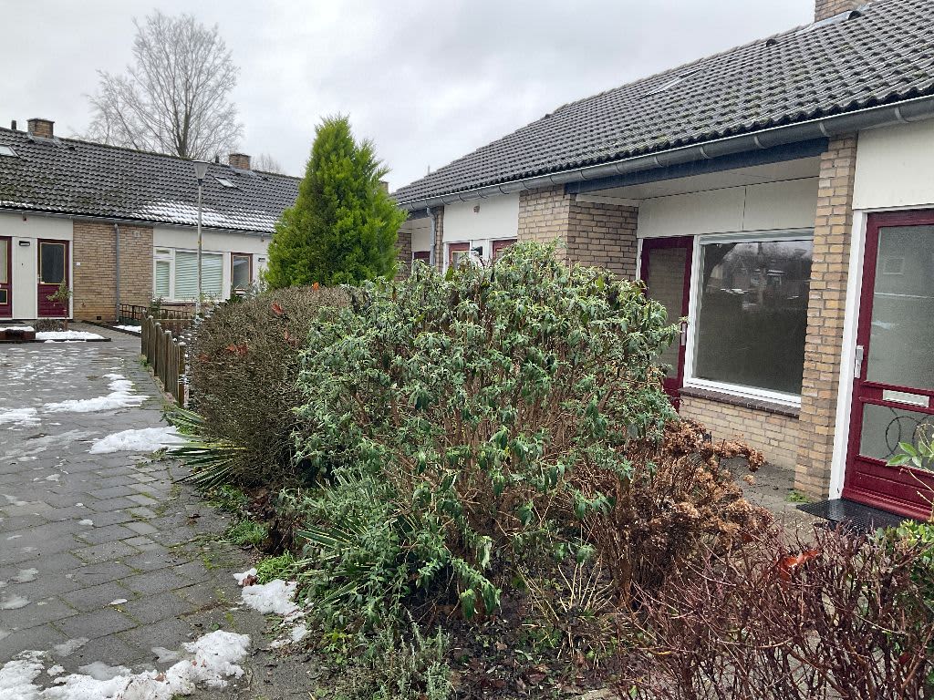 Meergraaf 9 - Zoelen