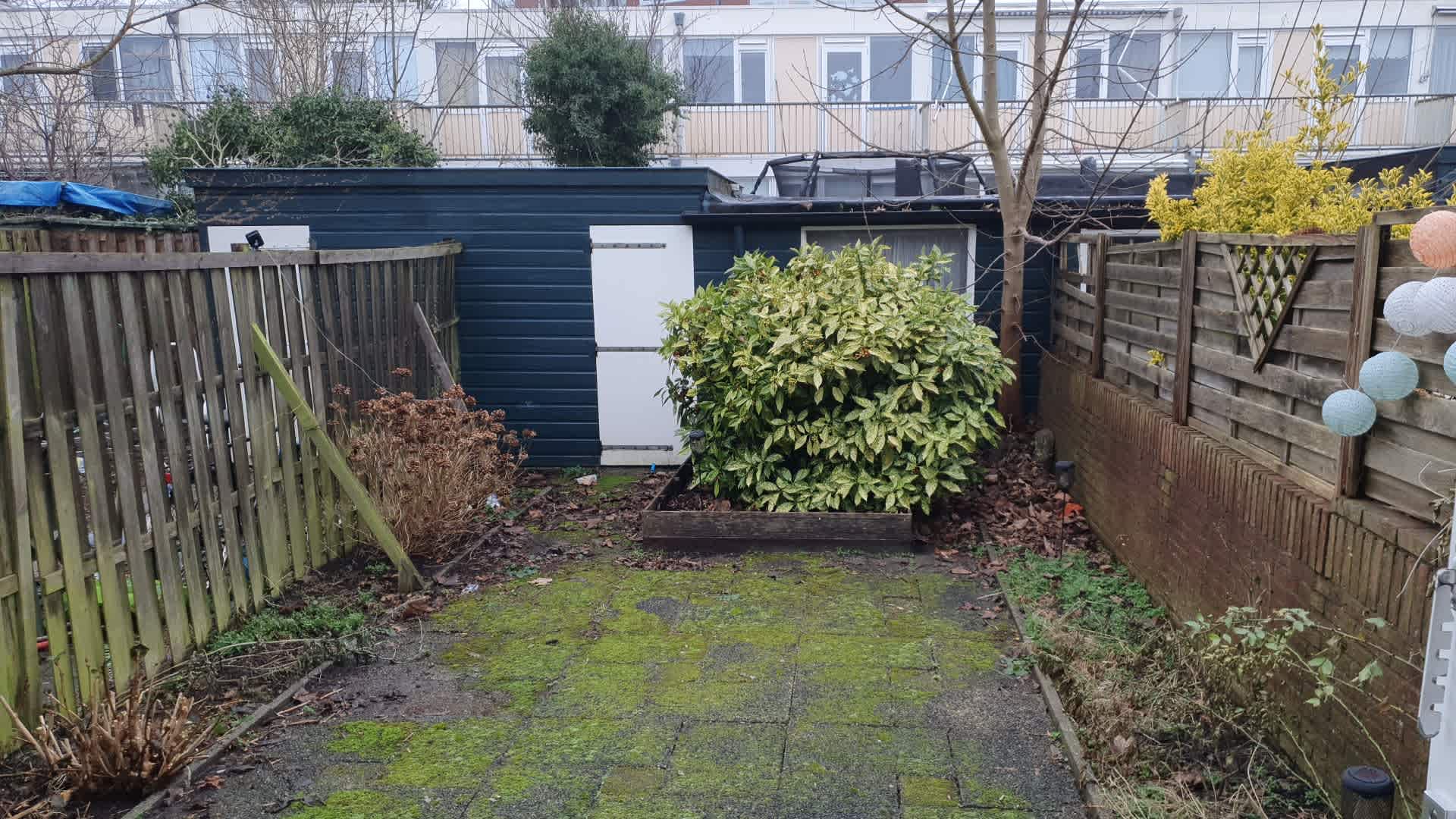 Staringstraat 18 - Haarlem