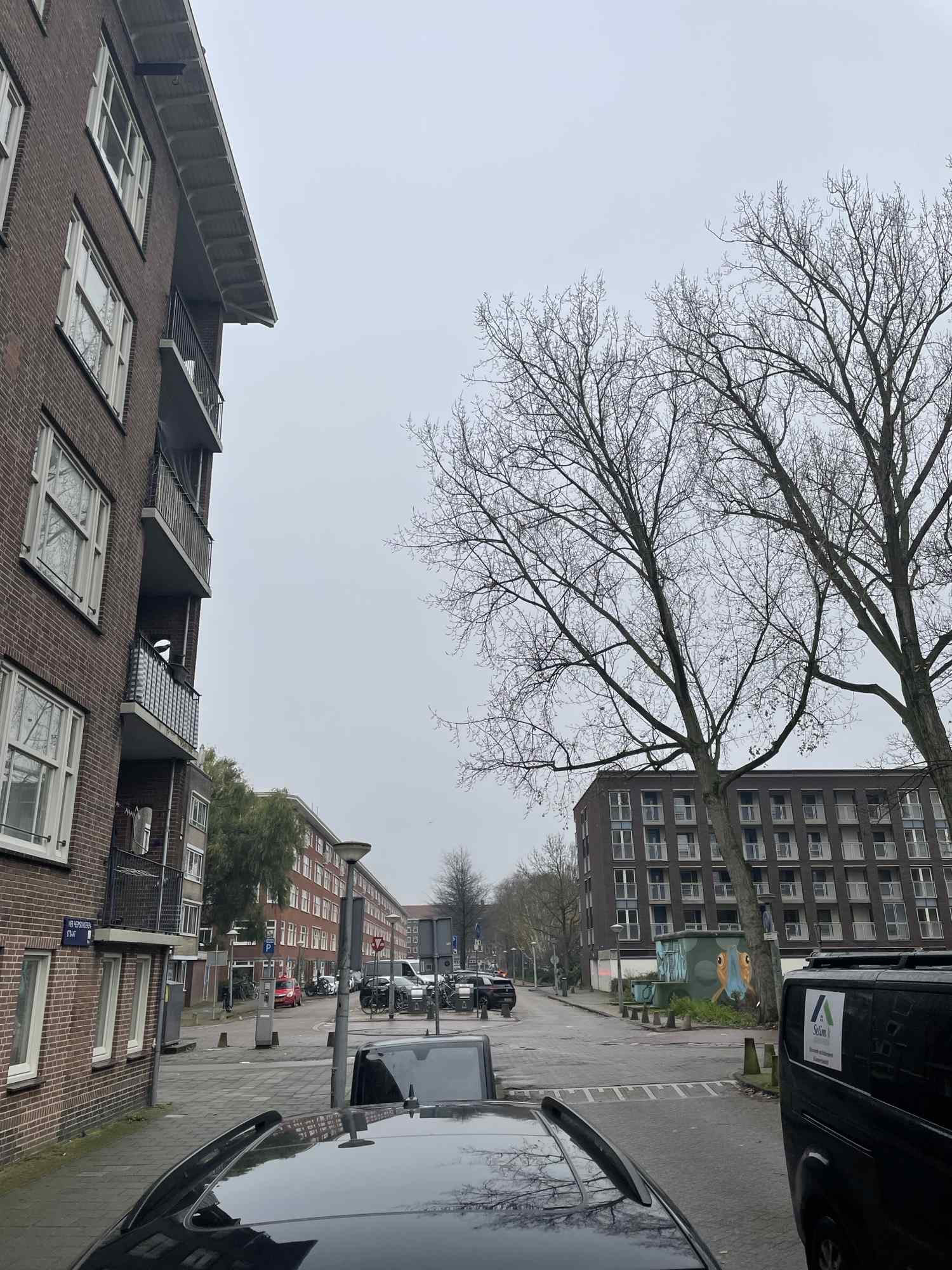 Vier Heemskinderenstraat 2-1 - Amsterdam