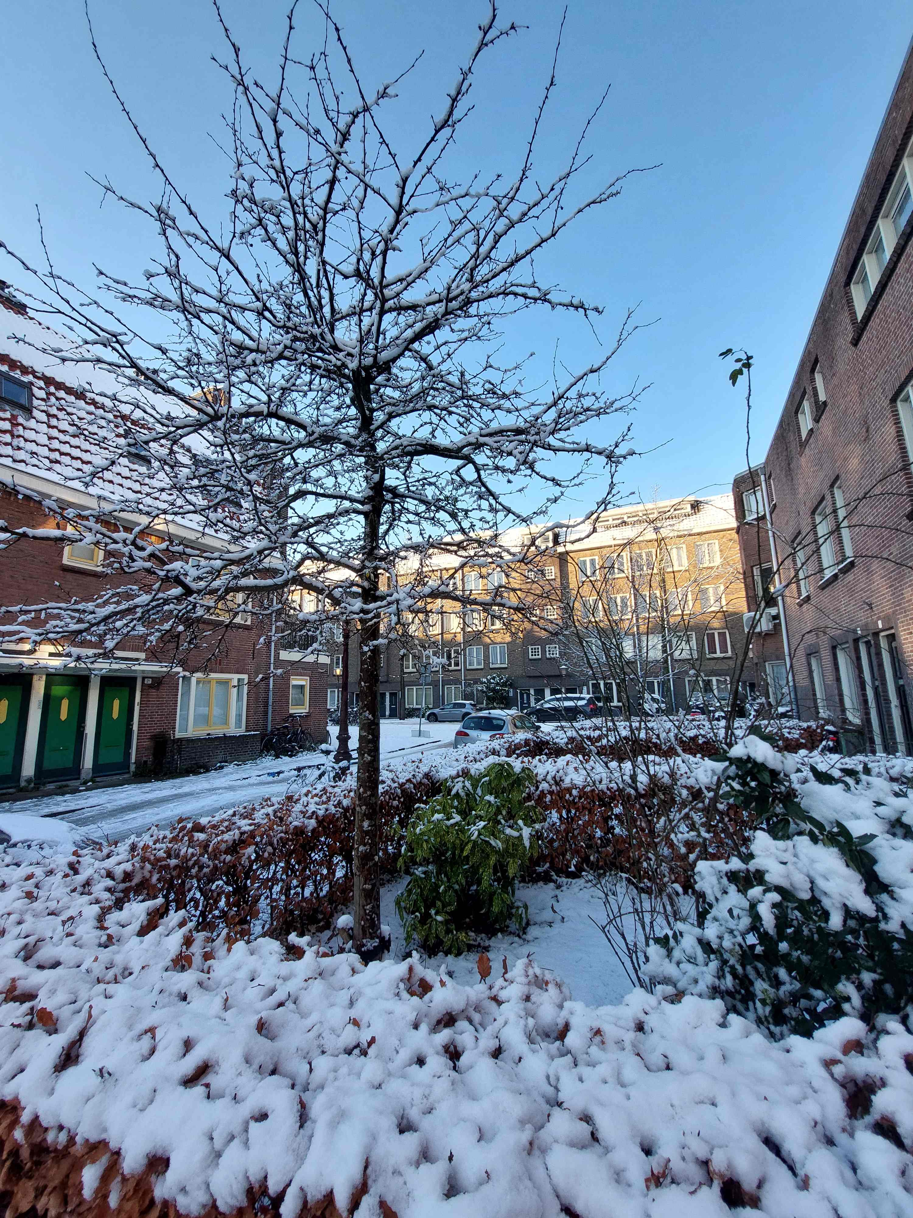 Cronjestraat 3-A - Amsterdam