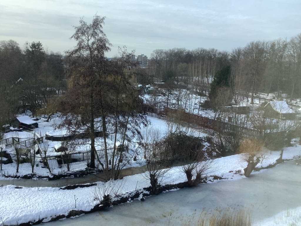 De Savornin Lohmanweg 72D - Alblasserdam