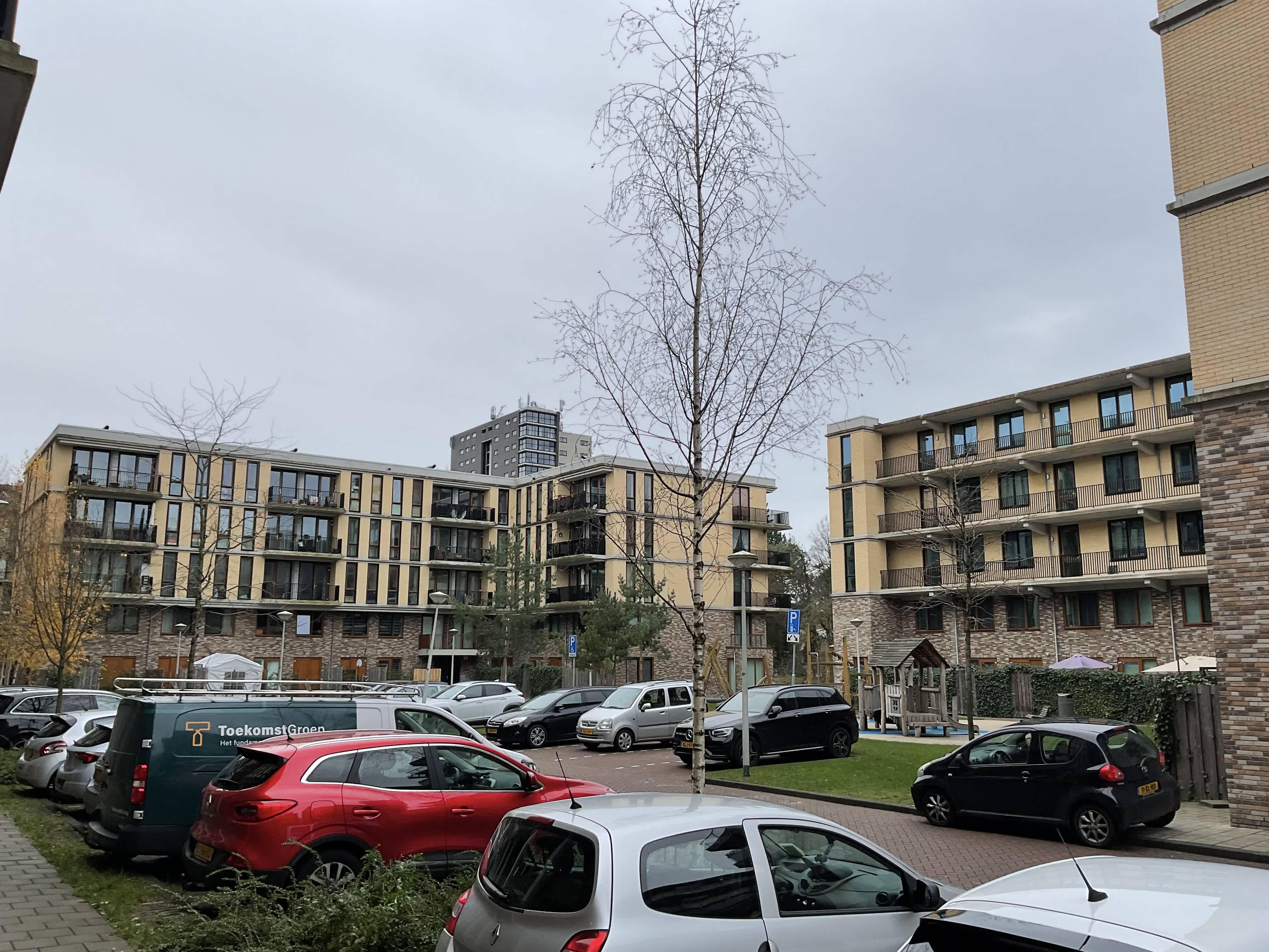 Zilverplevierstraat 71 - Amsterdam