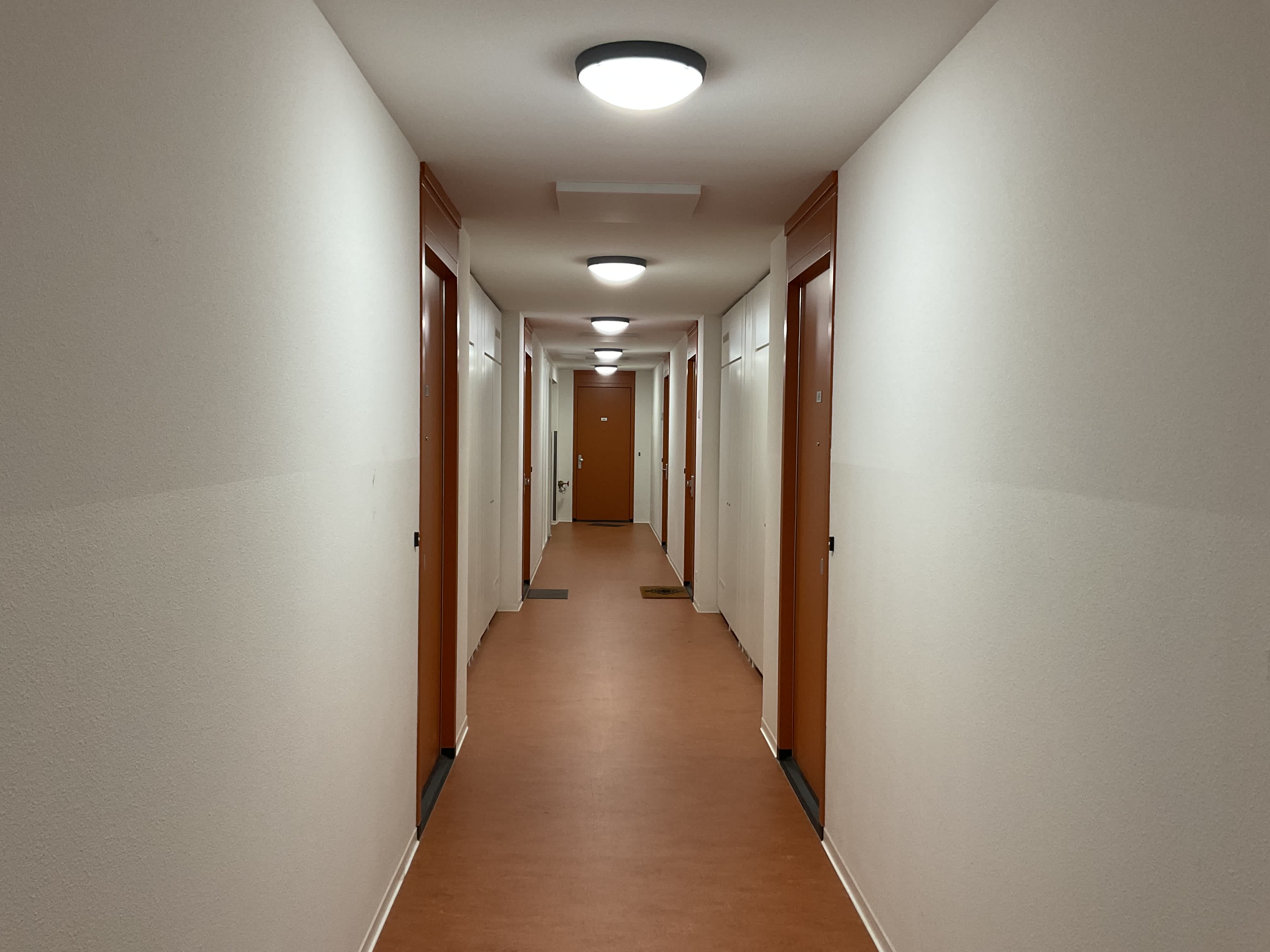 Zilverplevierstraat 71 - Amsterdam