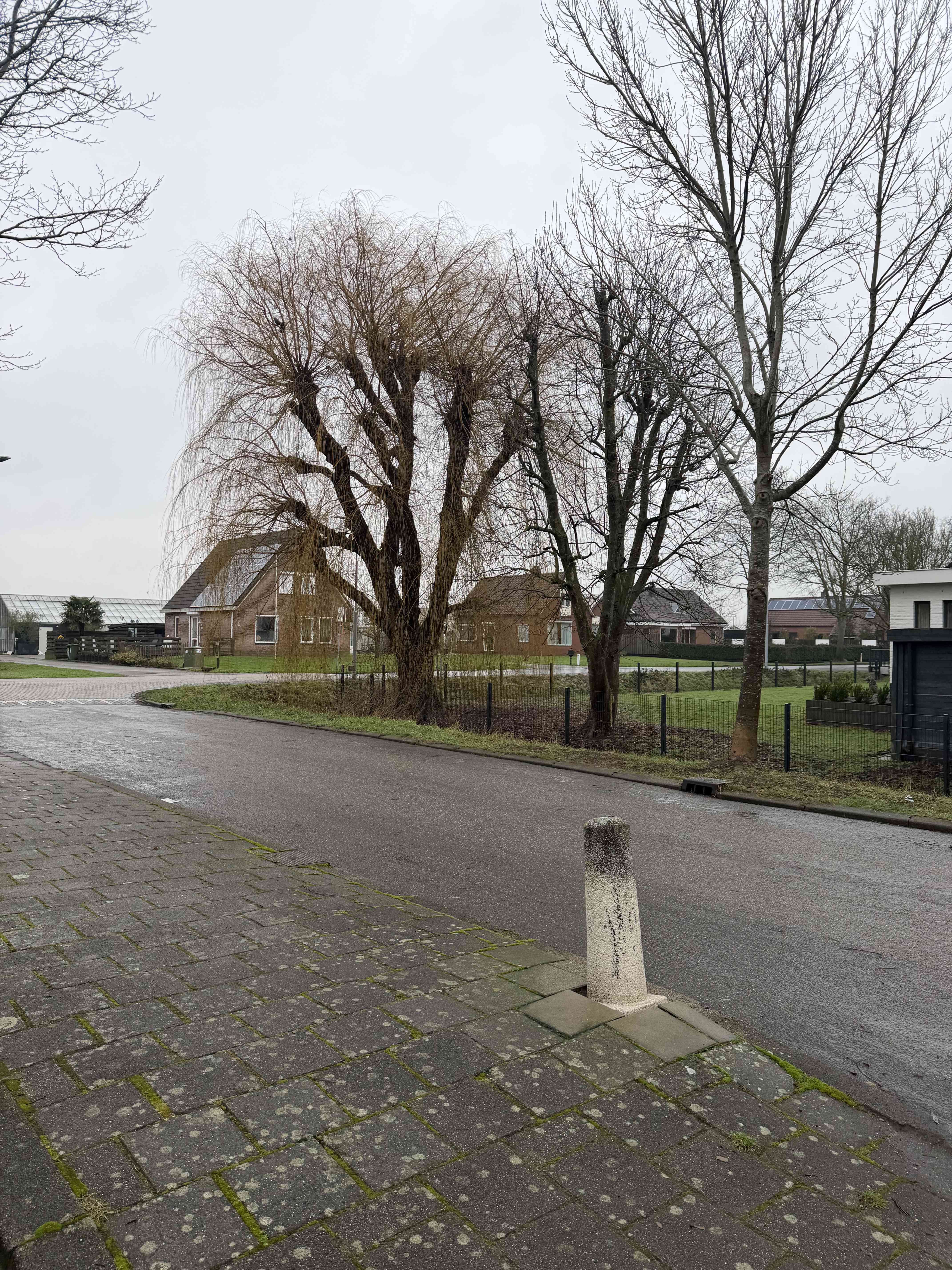 Loefzijde 41 - Rijsenhout