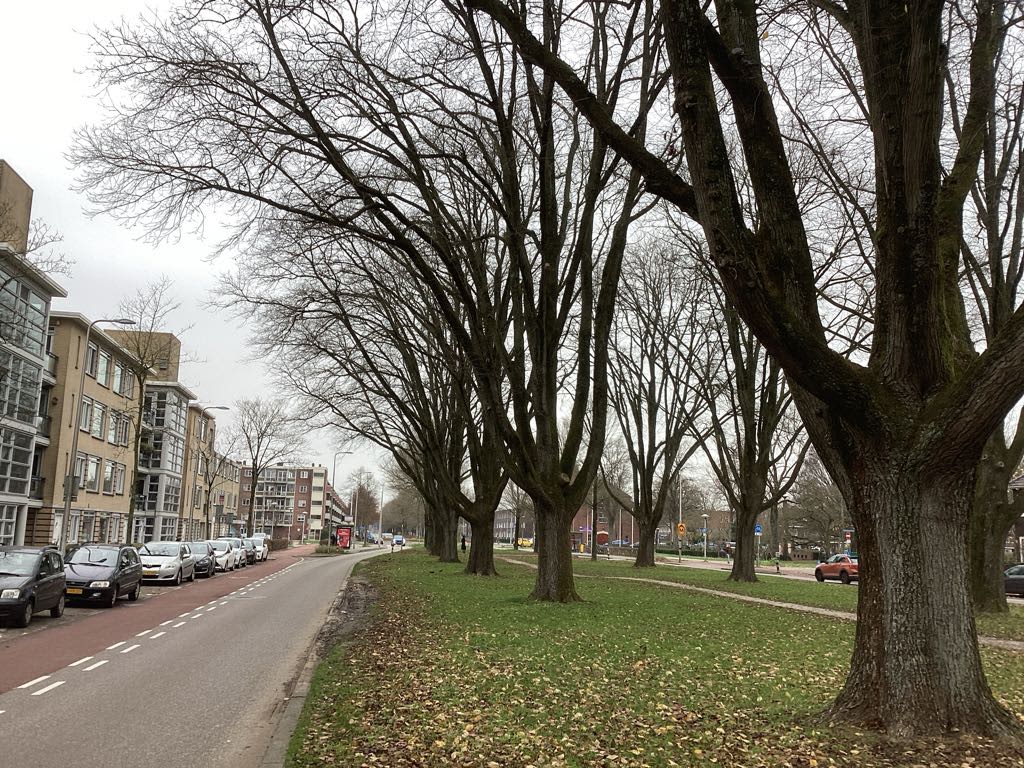 Prins Bernhardlaan 68 - Utrecht