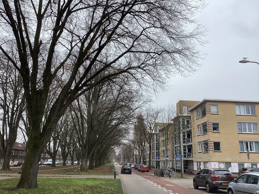 Prins Bernhardlaan 68 - Utrecht