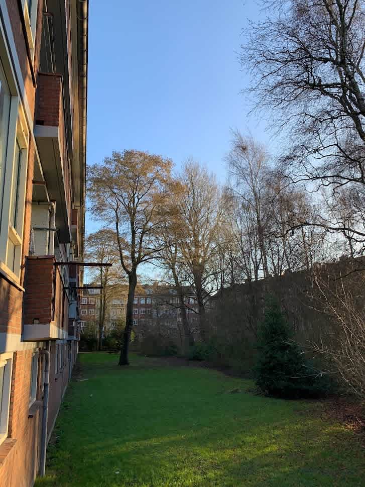 Lijns Tewisz Roggeplein 46 - Zaandam