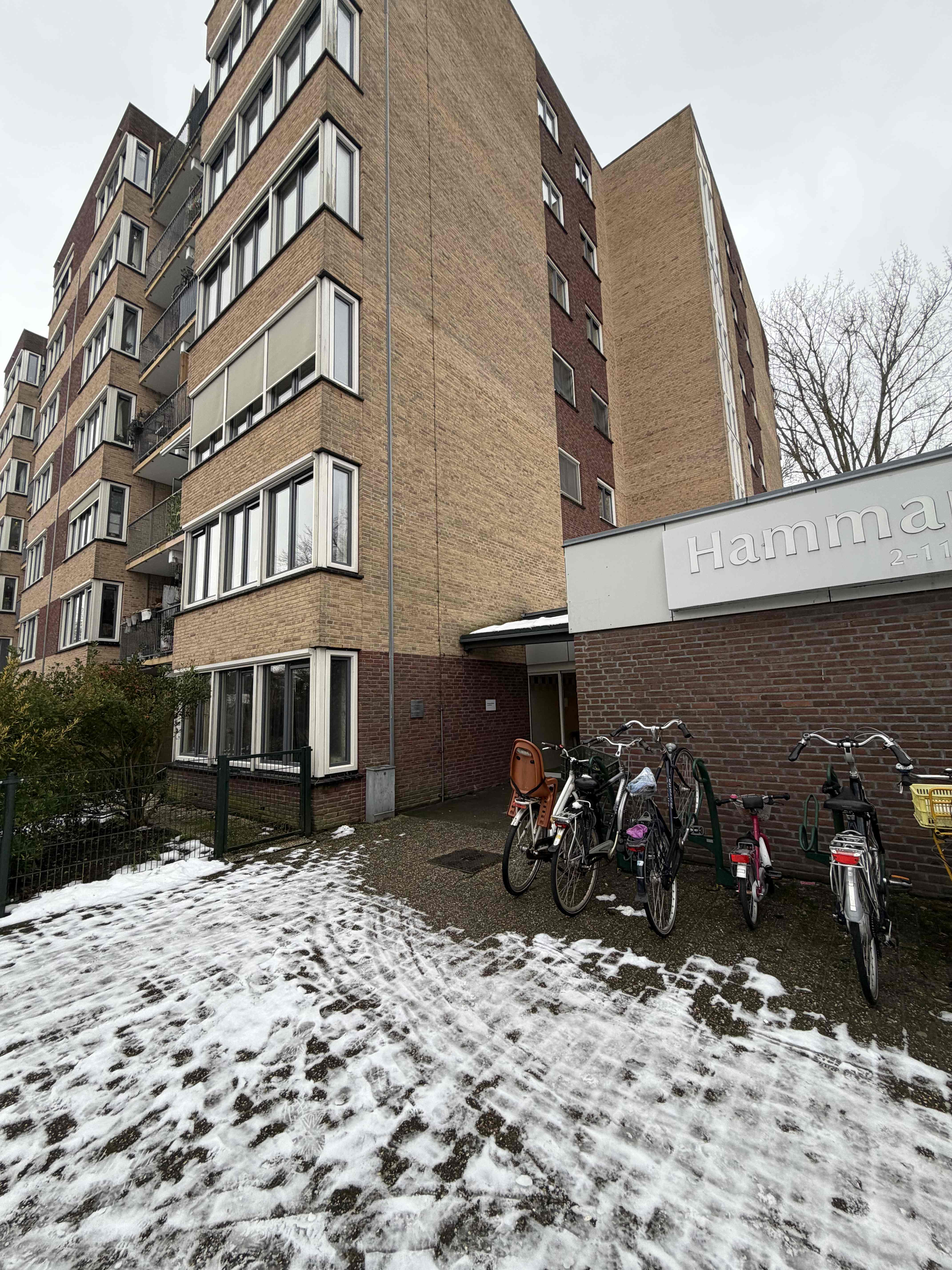 Hammarskjoldstraat 14 - Hoofddorp