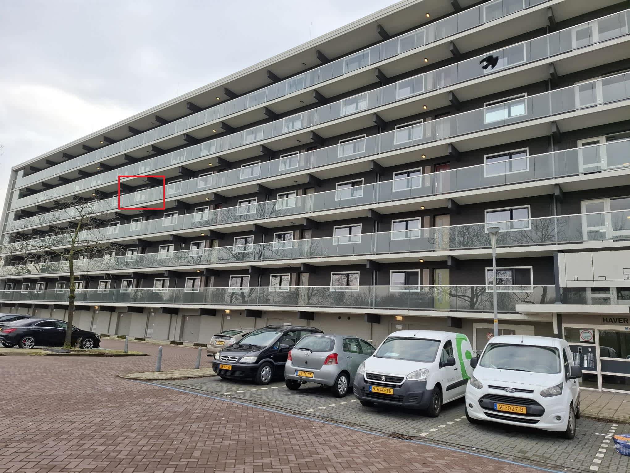 Graan voor Visch 13948 - Hoofddorp