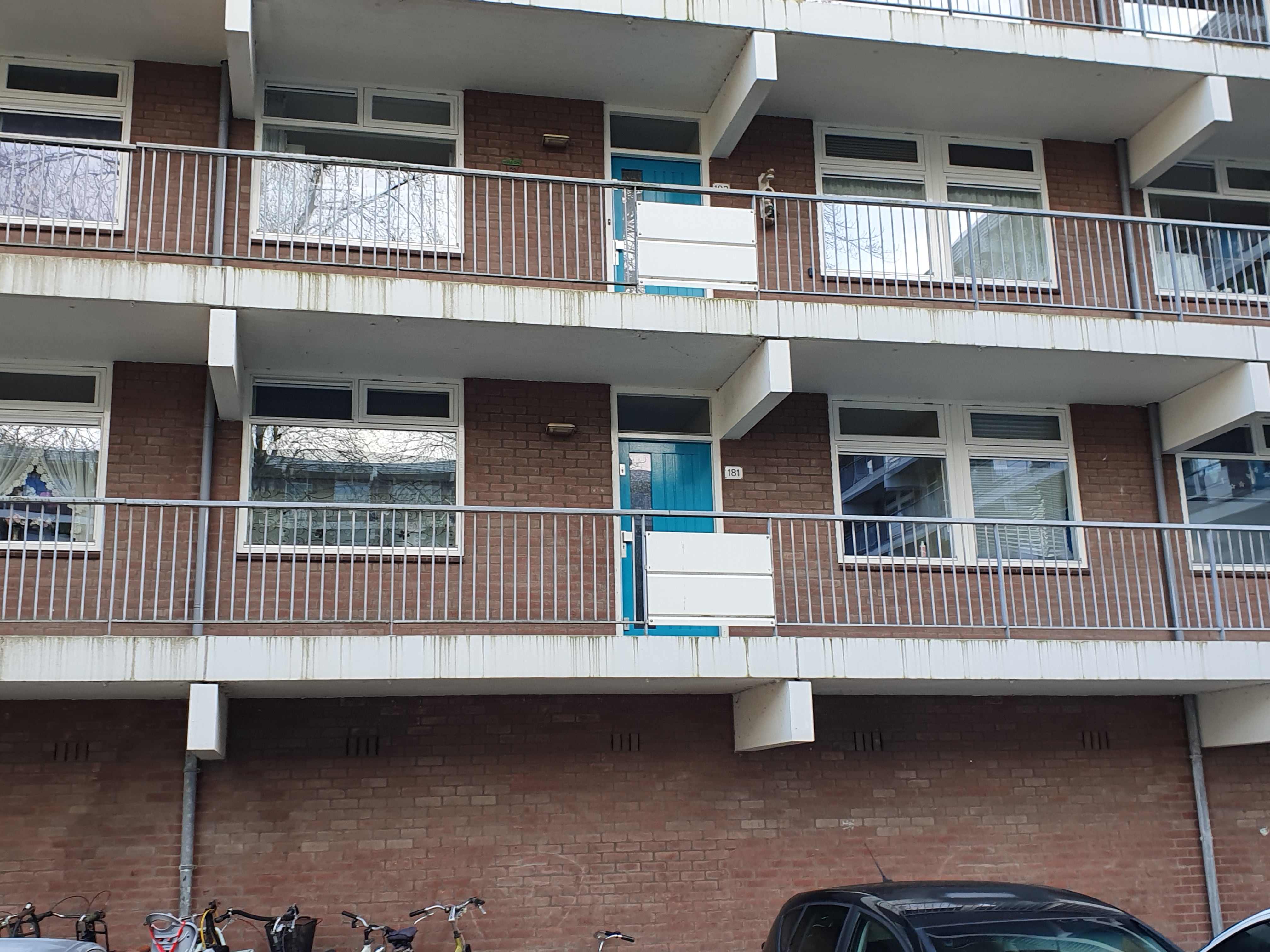 Grote Beer 121 - Krommenie