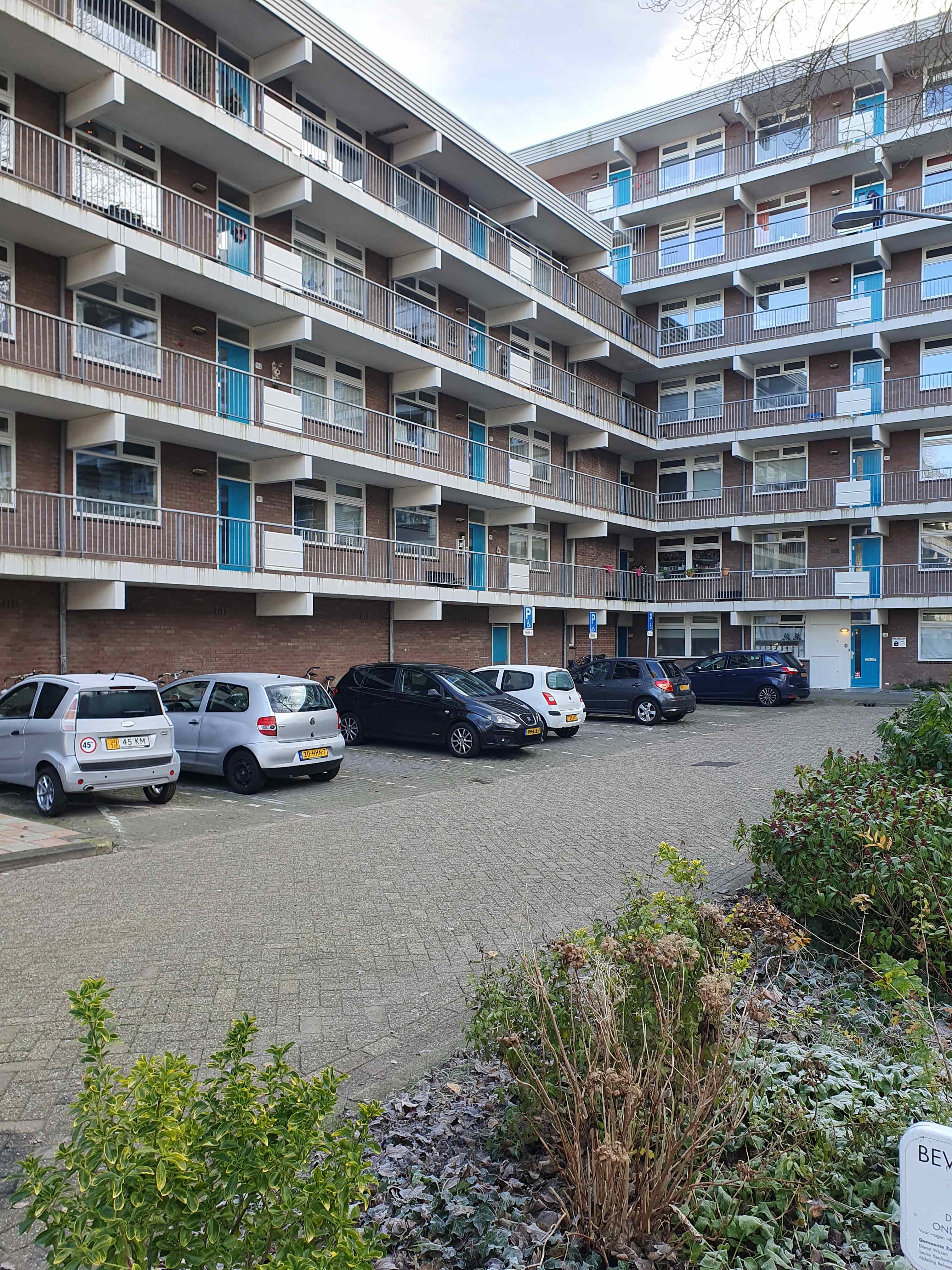 Grote Beer 121 - Krommenie