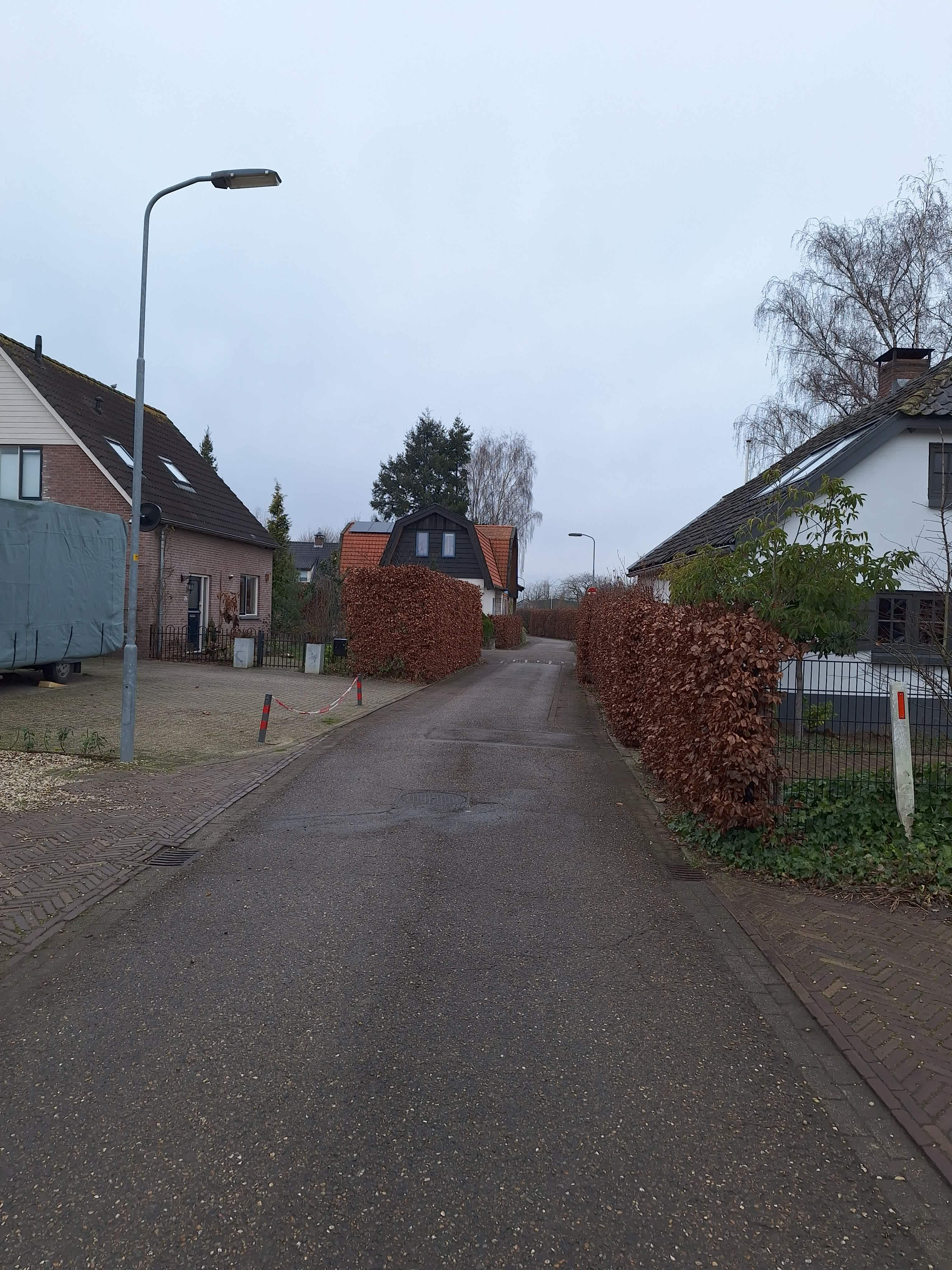 Nieuwe weg 30 - Ingen