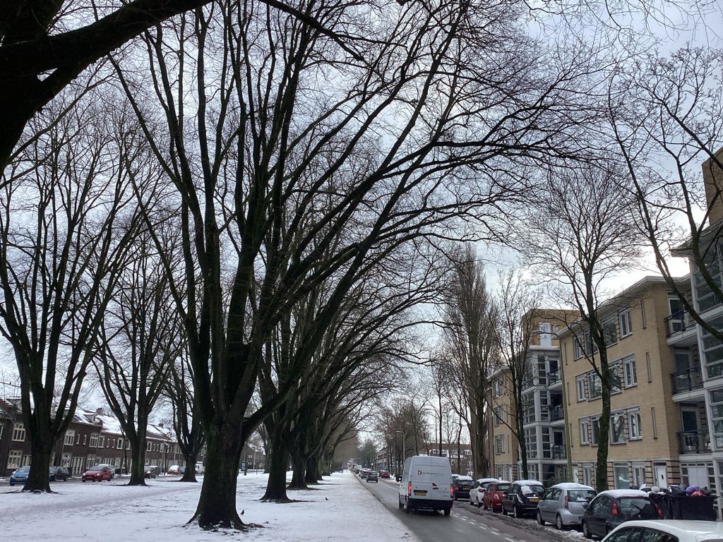 Prins Bernhardlaan 48 - Utrecht