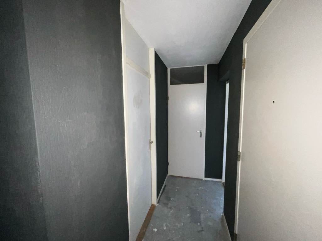 Tafeleend 44 - Uithoorn