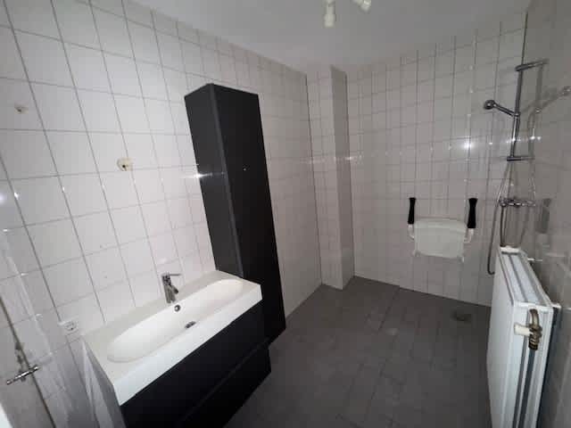 Kamelenspoor 8316 - Maarssen